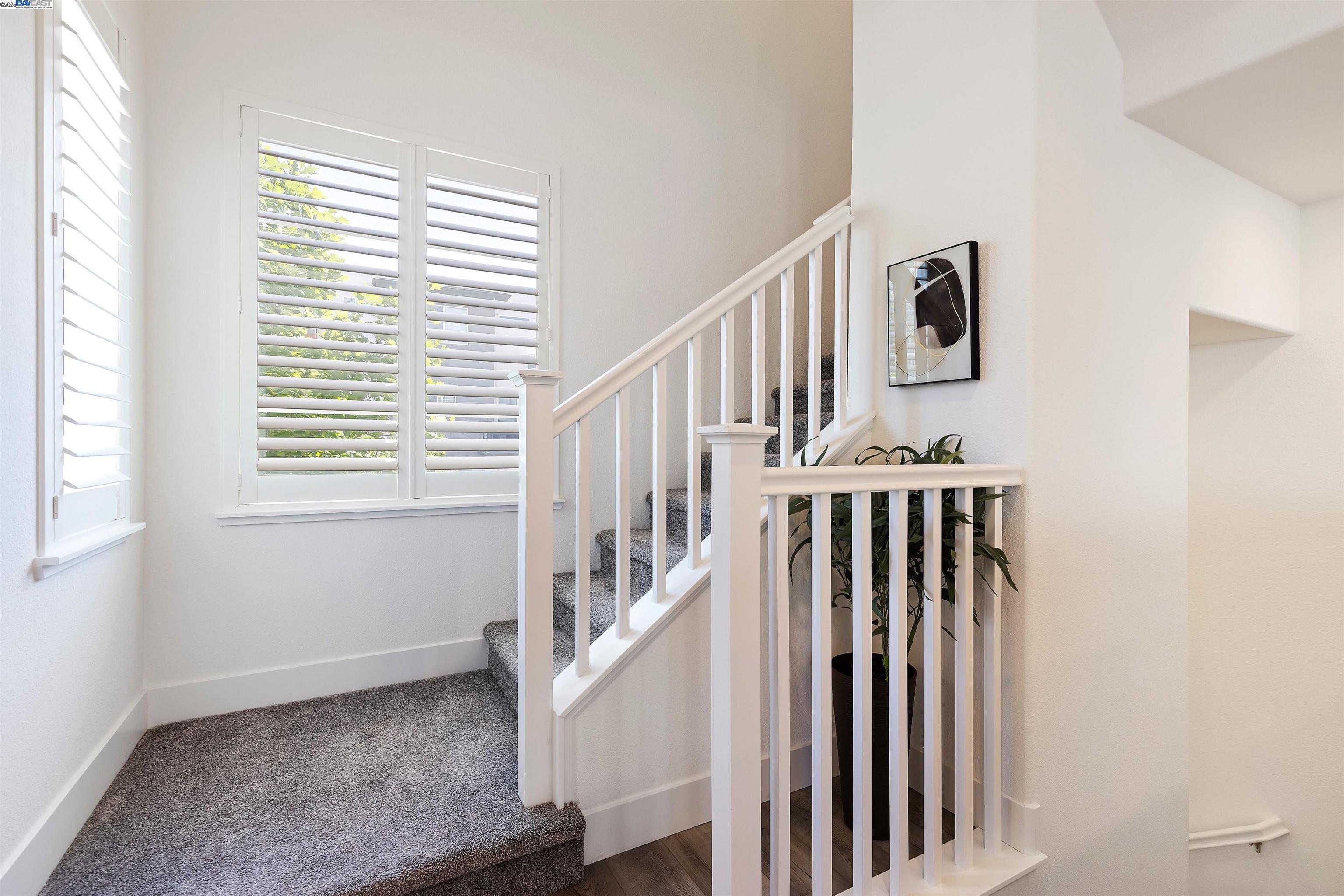 Photo #17: 41097128 Listing: Photo #17