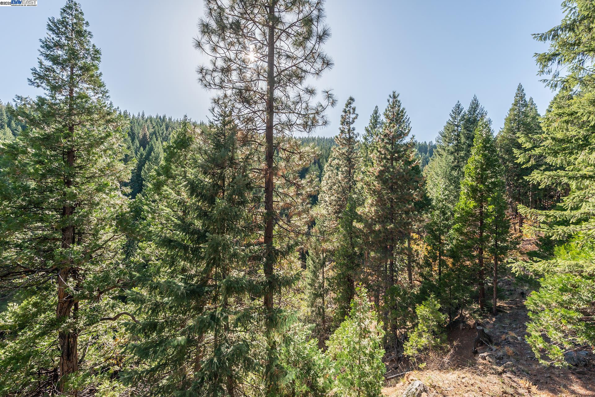 Detail Gallery Image 29 of 48 For 851 Mountain Aire Lane, Trinity Center,  CA 96091 - 4 Beds | 3 Baths