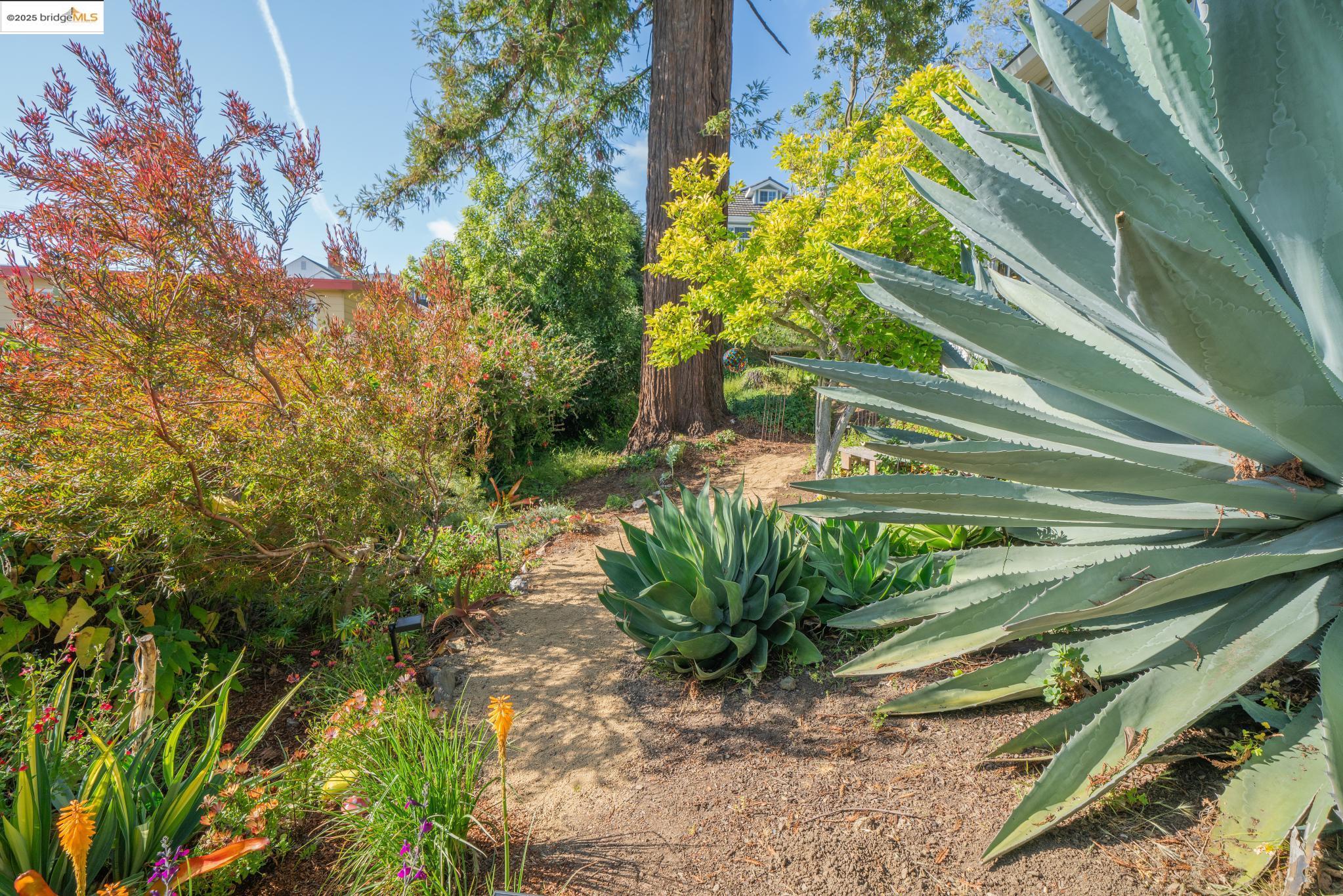 Detail Gallery Image 56 of 60 For 417 Seaview Dr, El Cerrito,  CA 94530 - 4 Beds | 3 Baths