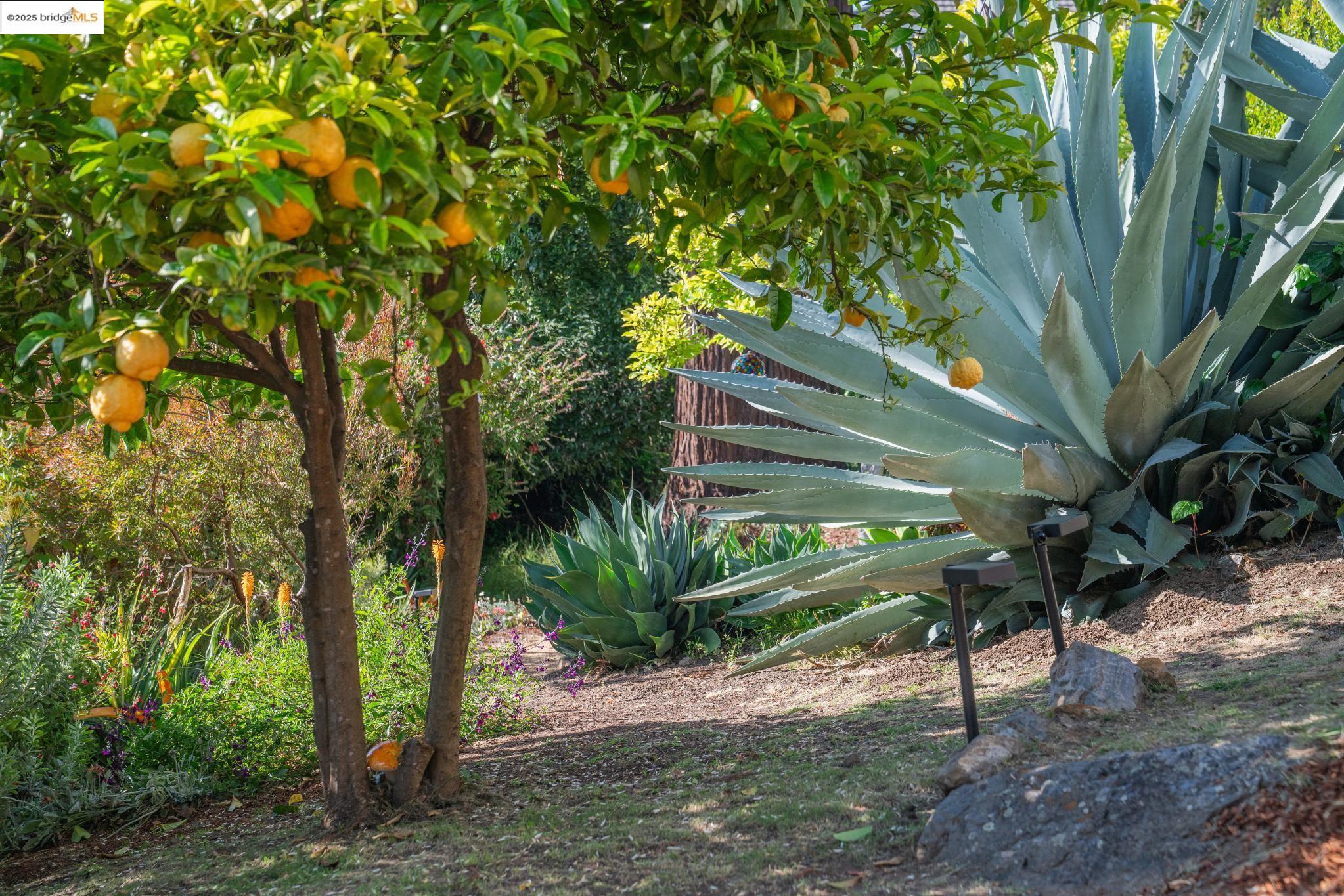Detail Gallery Image 57 of 60 For 417 Seaview Dr, El Cerrito,  CA 94530 - 4 Beds | 3 Baths