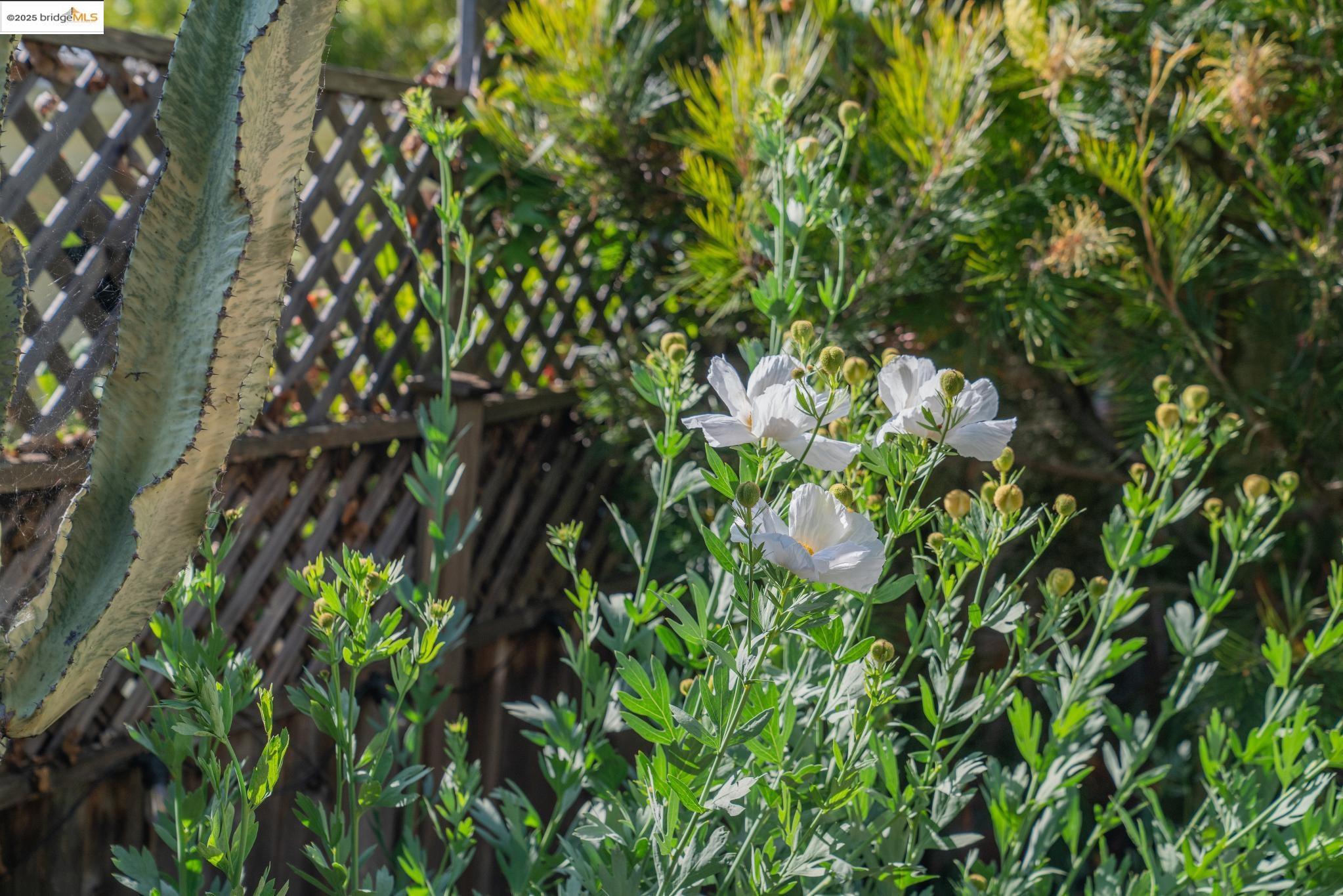 Detail Gallery Image 59 of 60 For 417 Seaview Dr, El Cerrito,  CA 94530 - 4 Beds | 3 Baths
