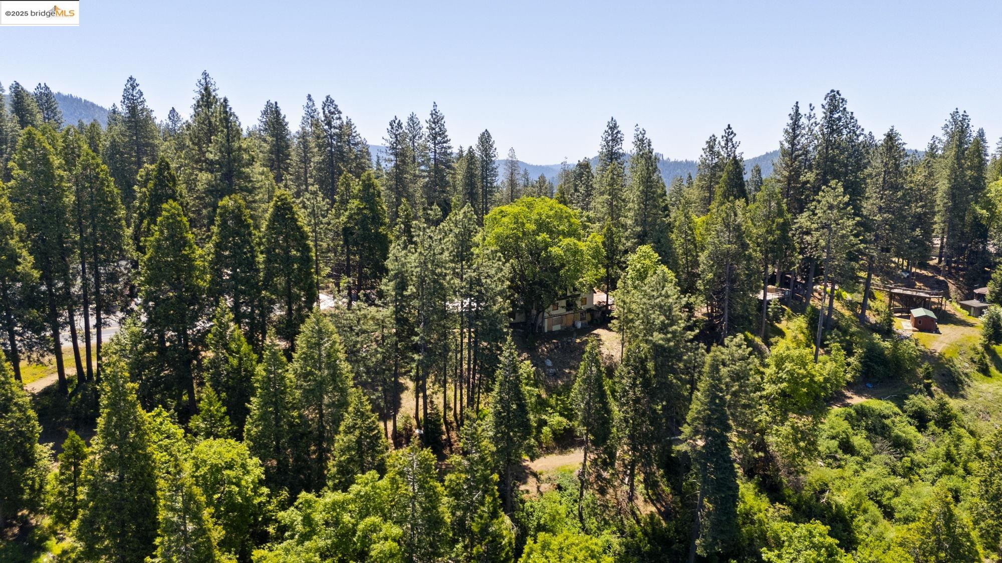 Detail Gallery Image 13 of 28 For 24152 State Highway 108, Twain Harte,  CA 95383 - – Beds | – Baths