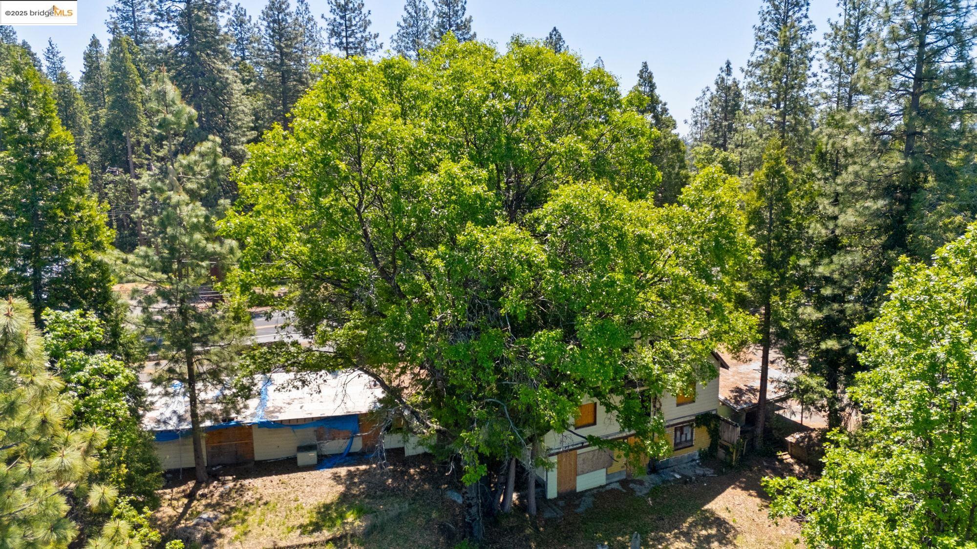 Detail Gallery Image 14 of 28 For 24152 State Highway 108, Twain Harte,  CA 95383 - – Beds | – Baths