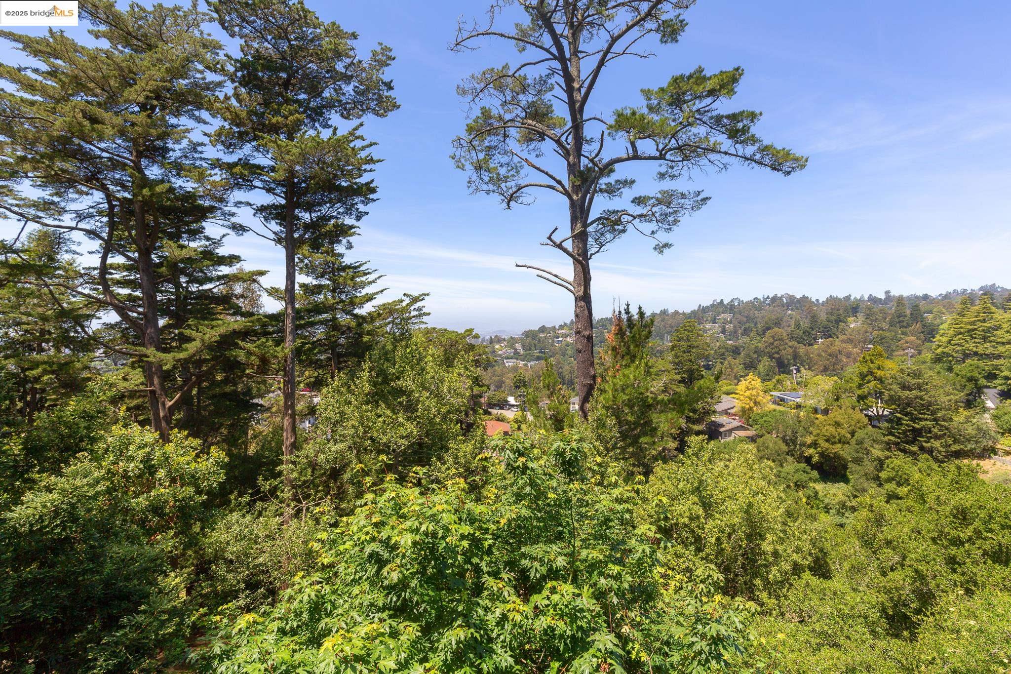 20 Ascot Ct, Oakland, California 94611, 3 Bedrooms Bedrooms, 7 Rooms Rooms,2 BathroomsBathrooms,Residential,For Sale,20 Ascot Ct,41097253
