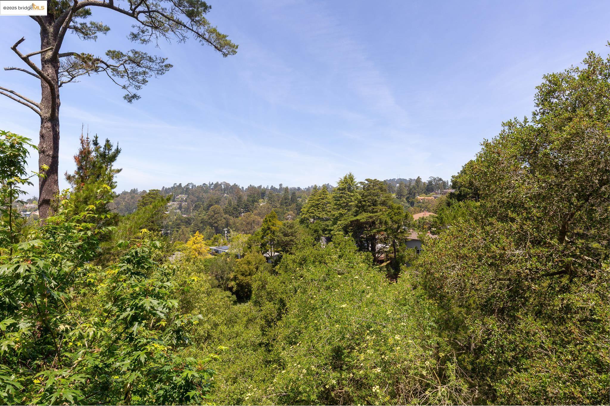20 Ascot Ct, Oakland, California 94611, 3 Bedrooms Bedrooms, 7 Rooms Rooms,2 BathroomsBathrooms,Residential,For Sale,20 Ascot Ct,41097253