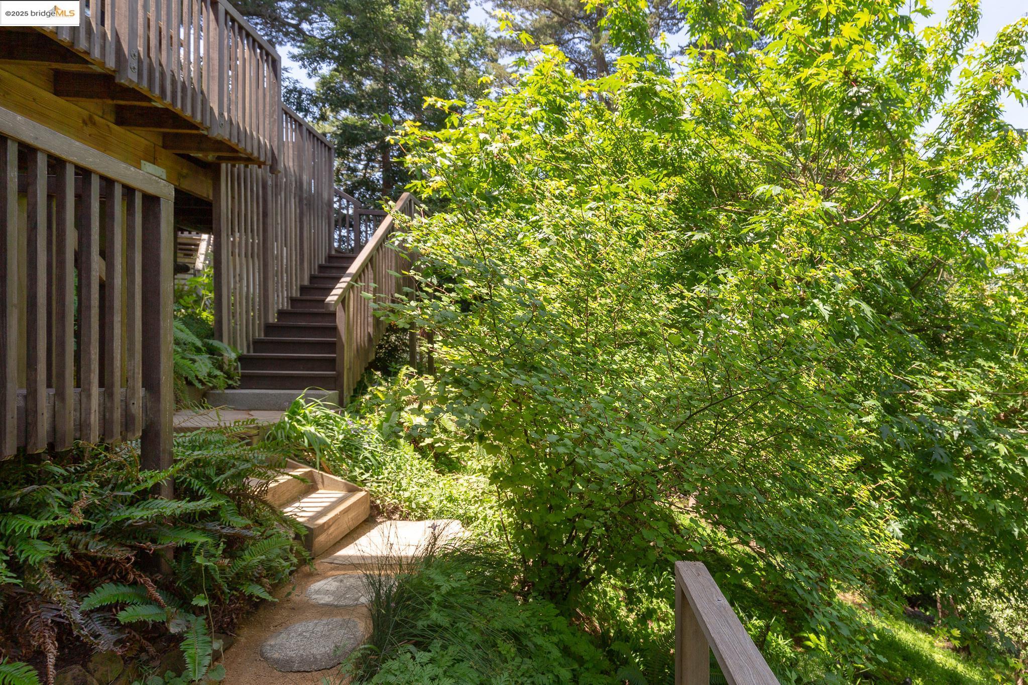 20 Ascot Ct, Oakland, California 94611, 3 Bedrooms Bedrooms, 7 Rooms Rooms,2 BathroomsBathrooms,Residential,For Sale,20 Ascot Ct,41097253