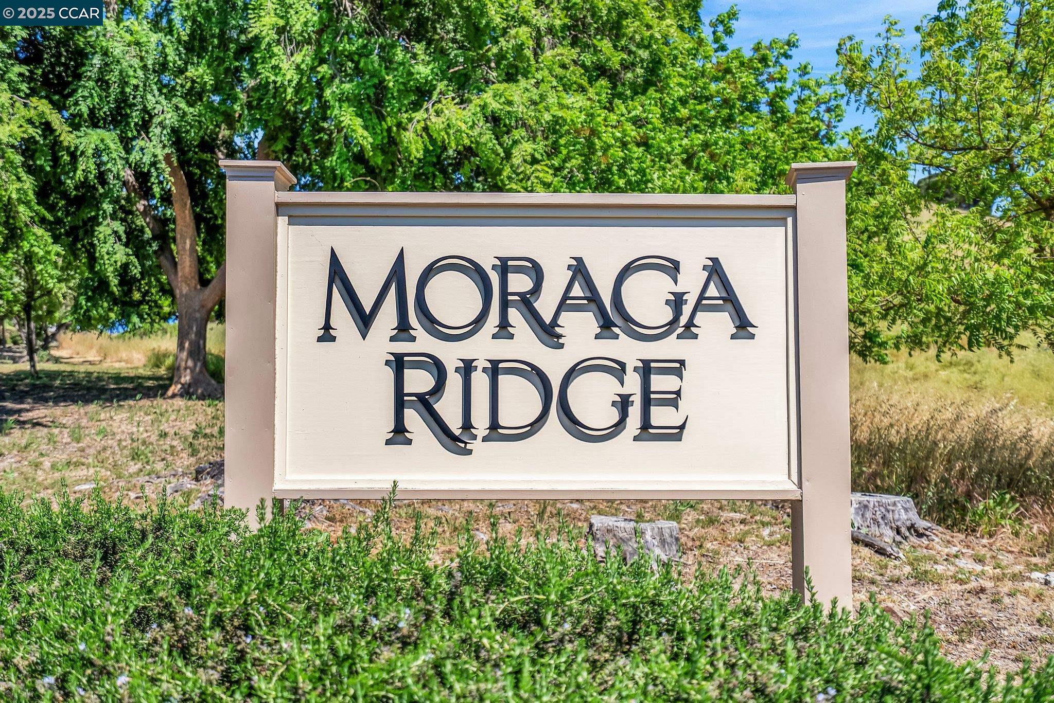 Detail Gallery Image 3 of 36 For 117 Alta Mesa Ct, Moraga,  CA 94556 - 4 Beds | 2/1 Baths