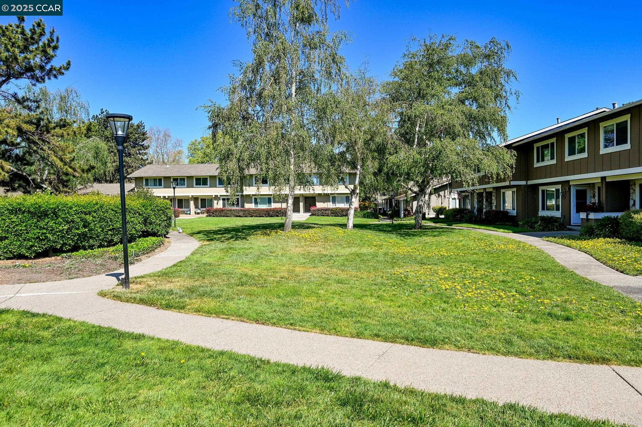 Detail Gallery Image 32 of 38 For 1466 Greenlawn Dr, Danville,  CA 94526 - 4 Beds | 2/1 Baths