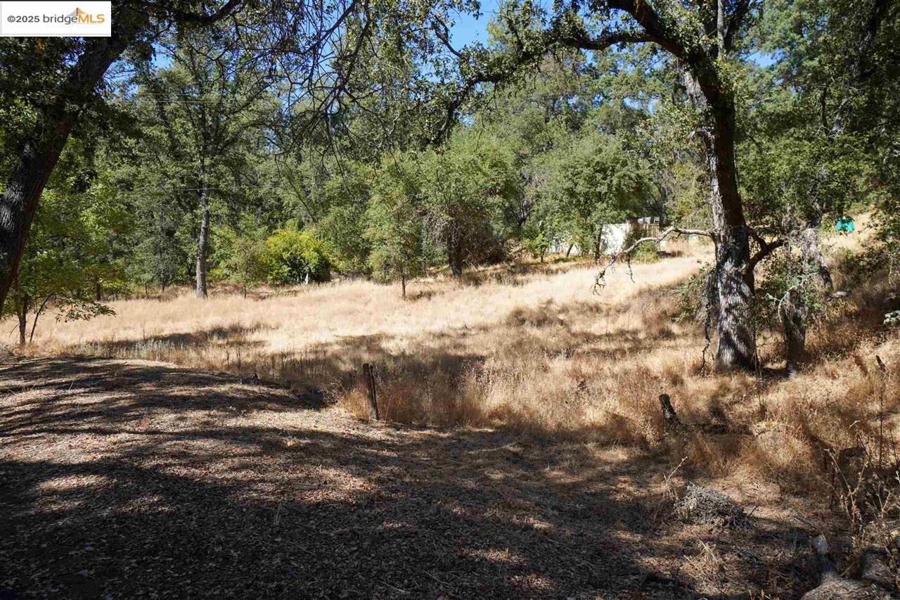 Detail Gallery Image 2 of 10 For 11480 Racetrack, Sonora,  CA 95370 - – Beds | – Baths