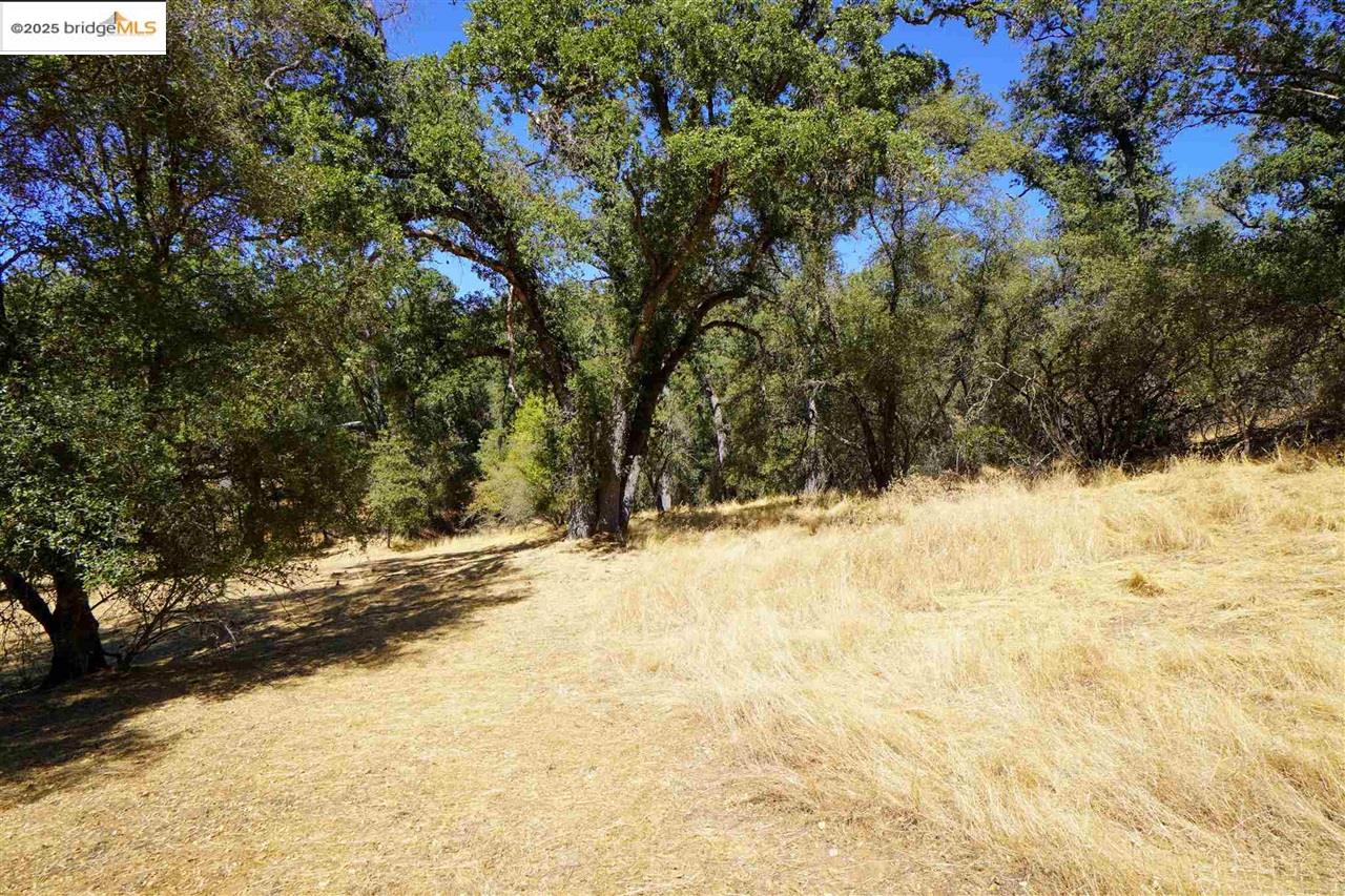 Detail Gallery Image 4 of 10 For 11480 Racetrack, Sonora,  CA 95370 - – Beds | – Baths