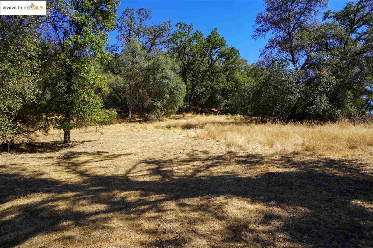Detail Gallery Image 7 of 10 For 11480 Racetrack, Sonora,  CA 95370 - – Beds | – Baths