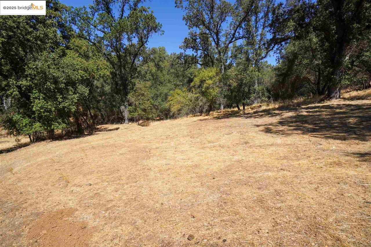 Detail Gallery Image 9 of 10 For 11480 Racetrack, Sonora,  CA 95370 - – Beds | – Baths