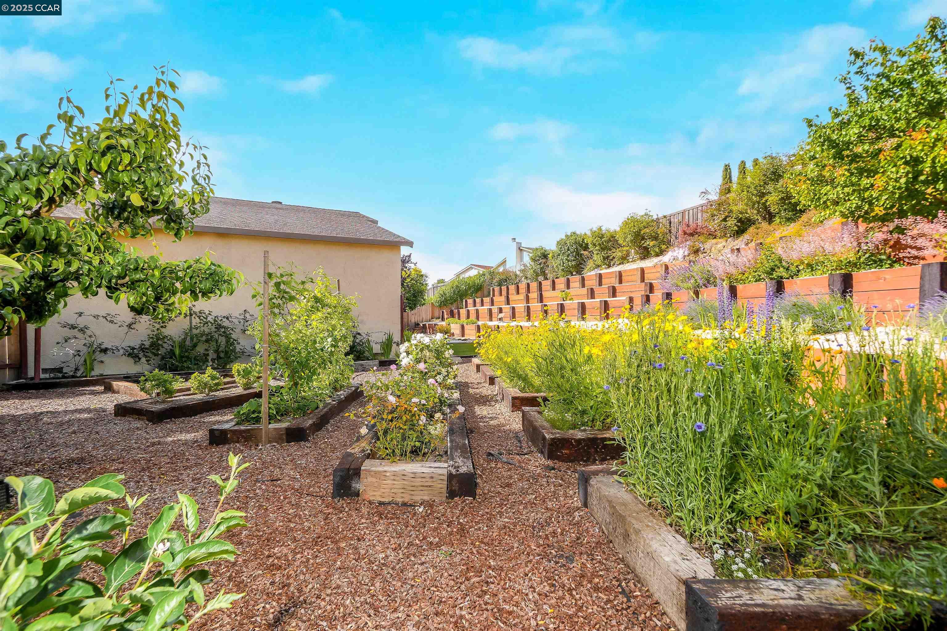Detail Gallery Image 41 of 55 For 118 Raven Ct, Hercules,  CA 94547 - 4 Beds | 2/1 Baths