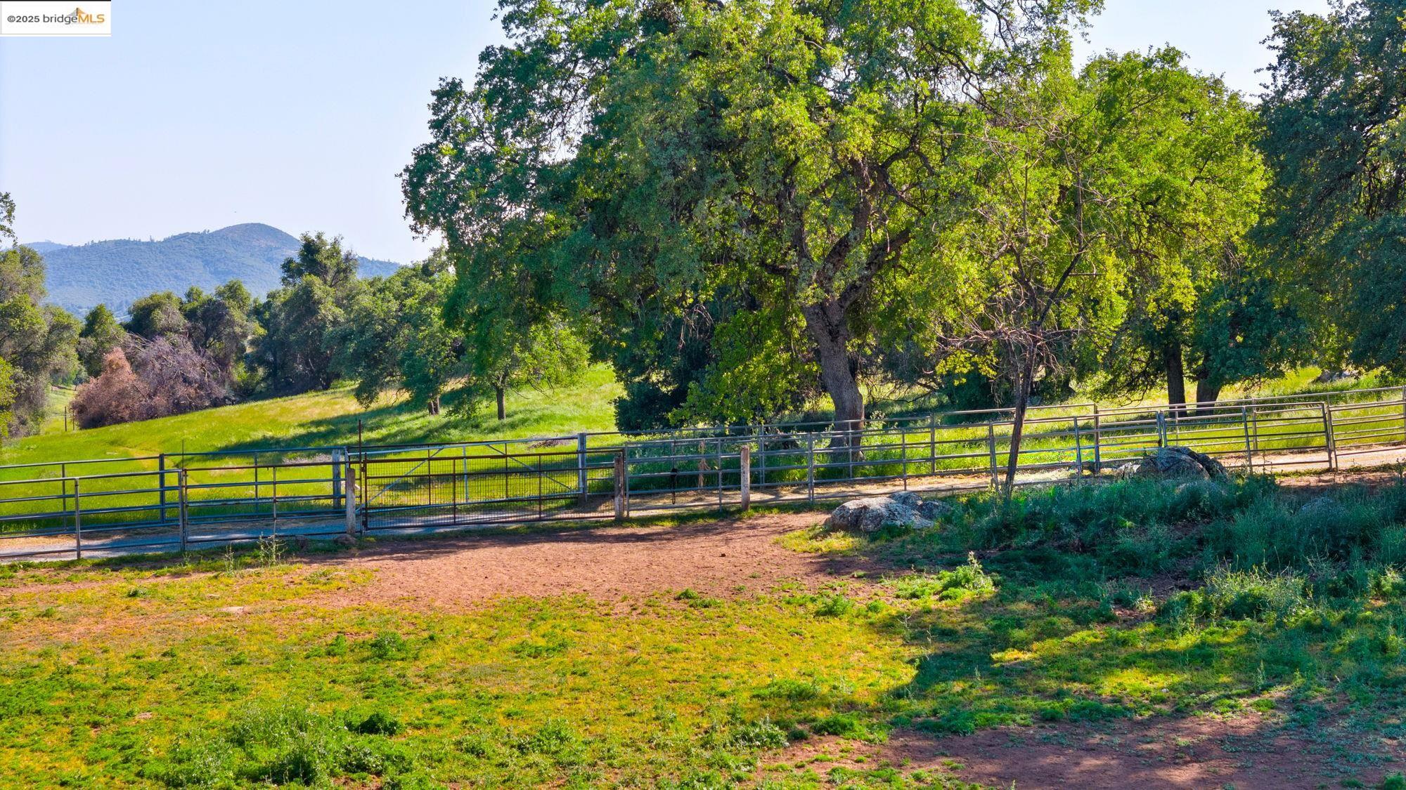 Detail Gallery Image 8 of 50 For 17822 Old Wards Ferry Rd, Sonora,  CA 95370 - 2 Beds | 2/1 Baths