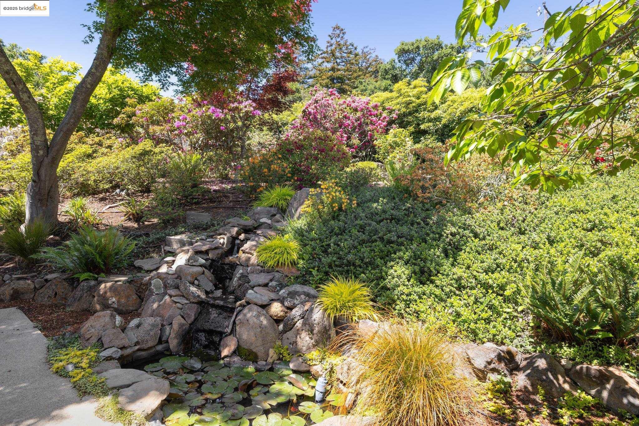 Detail Gallery Image 56 of 60 For 1 Garden Dr, Kensington,  CA 94708 - 3 Beds | 2 Baths