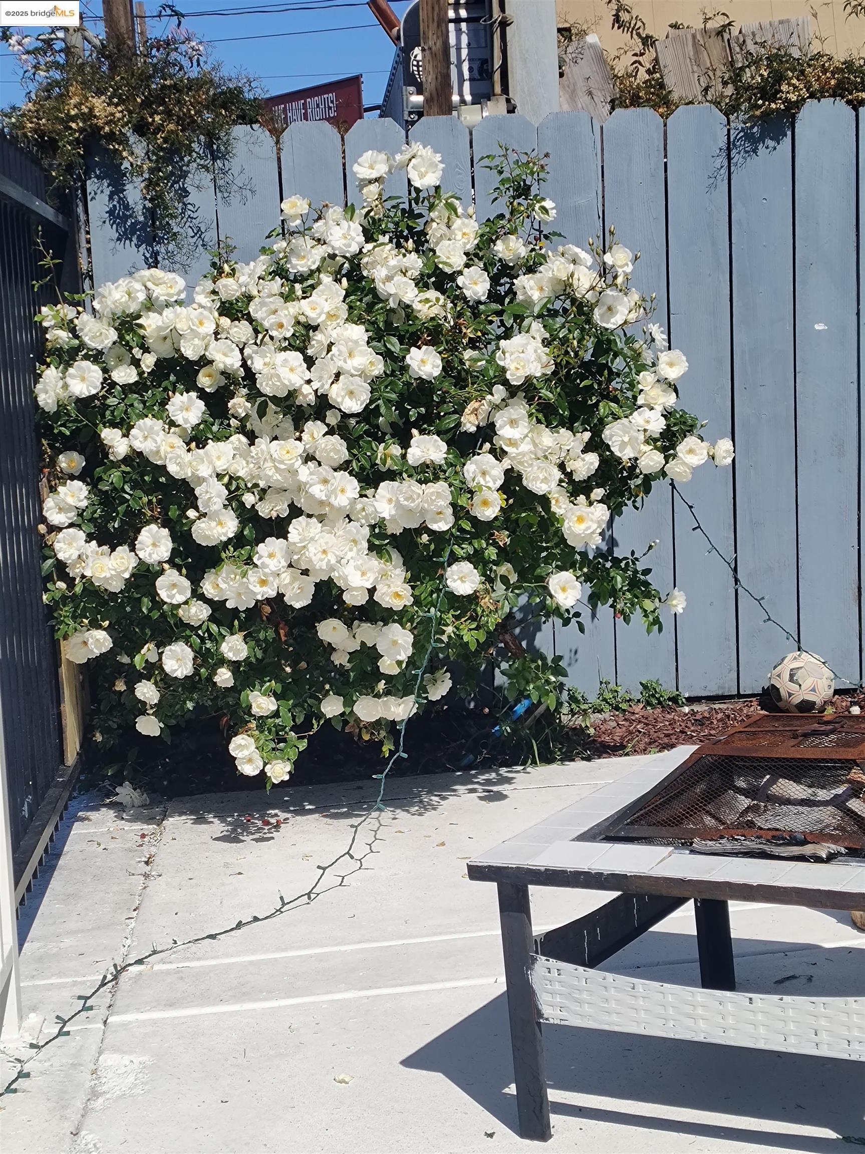 Detail Gallery Image 9 of 11 For 3532 San Leandro St, Oakland,  CA 94601 - – Beds | – Baths