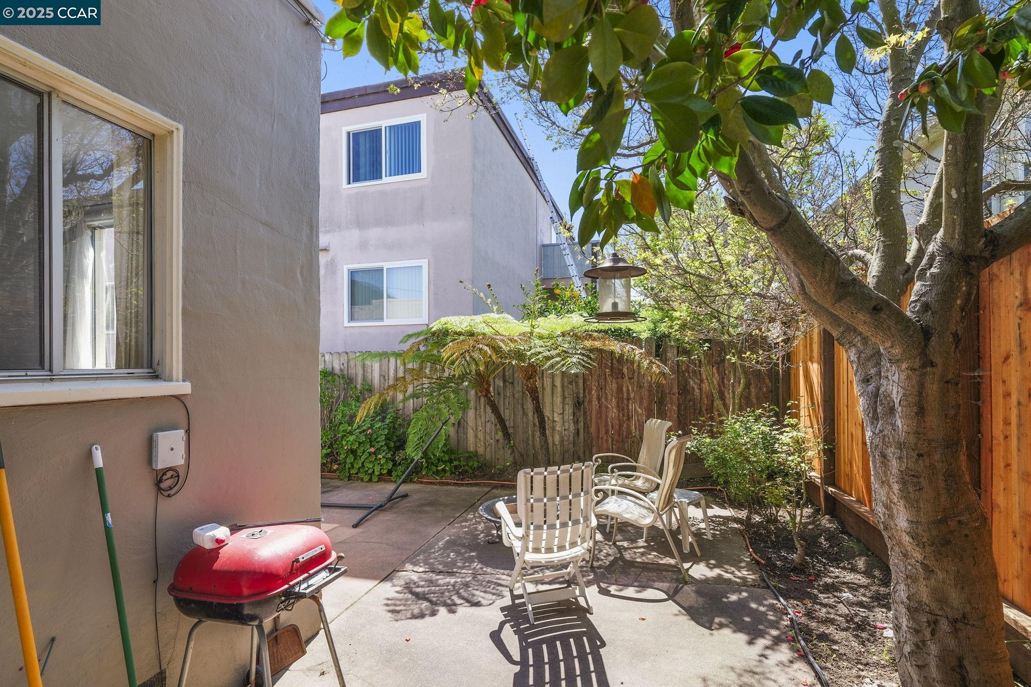 Detail Gallery Image 20 of 60 For 742 Adams Street, Albany,  CA 94706-1110 - – Beds | – Baths