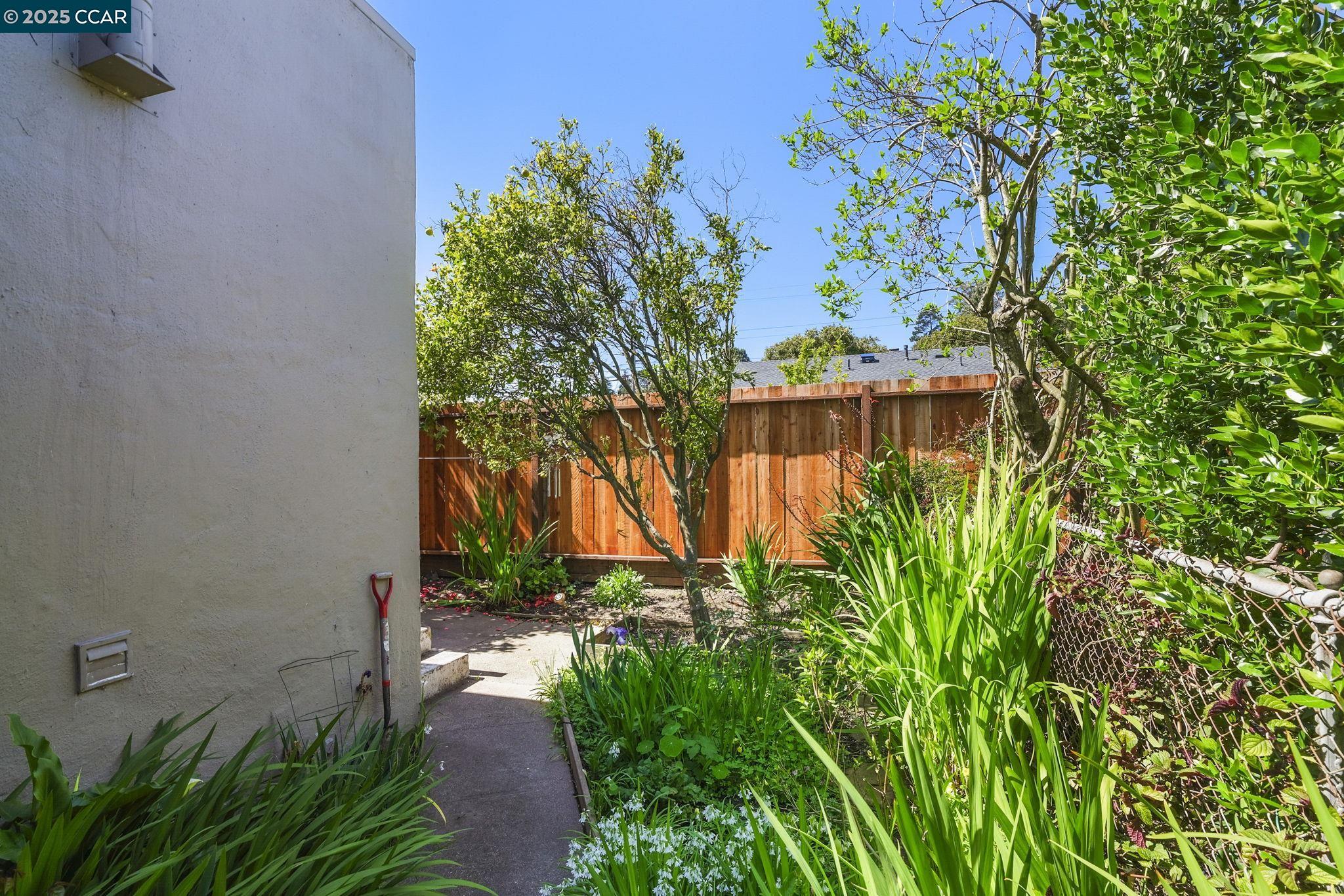 Detail Gallery Image 21 of 60 For 742 Adams Street, Albany,  CA 94706-1110 - – Beds | – Baths