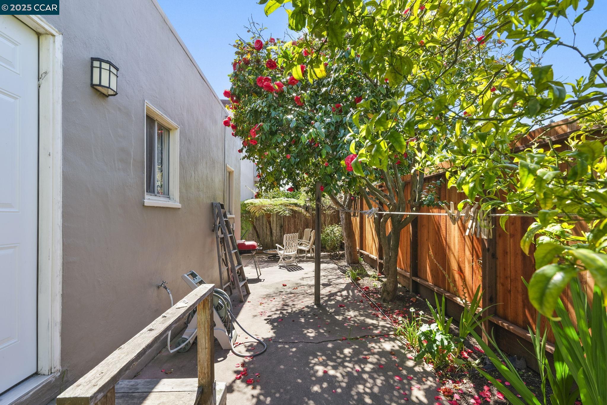 Detail Gallery Image 22 of 60 For 742 Adams Street, Albany,  CA 94706-1110 - – Beds | – Baths