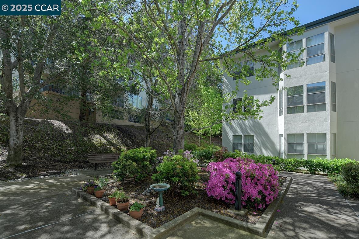 5910 Horsemans Canyon Dr # 5A, Walnut Creek, California 94595, 2 Bedrooms Bedrooms, 8 Rooms Rooms,2 BathroomsBathrooms,Residential,For Sale,5910 Horsemans Canyon Dr # 5A,41097516