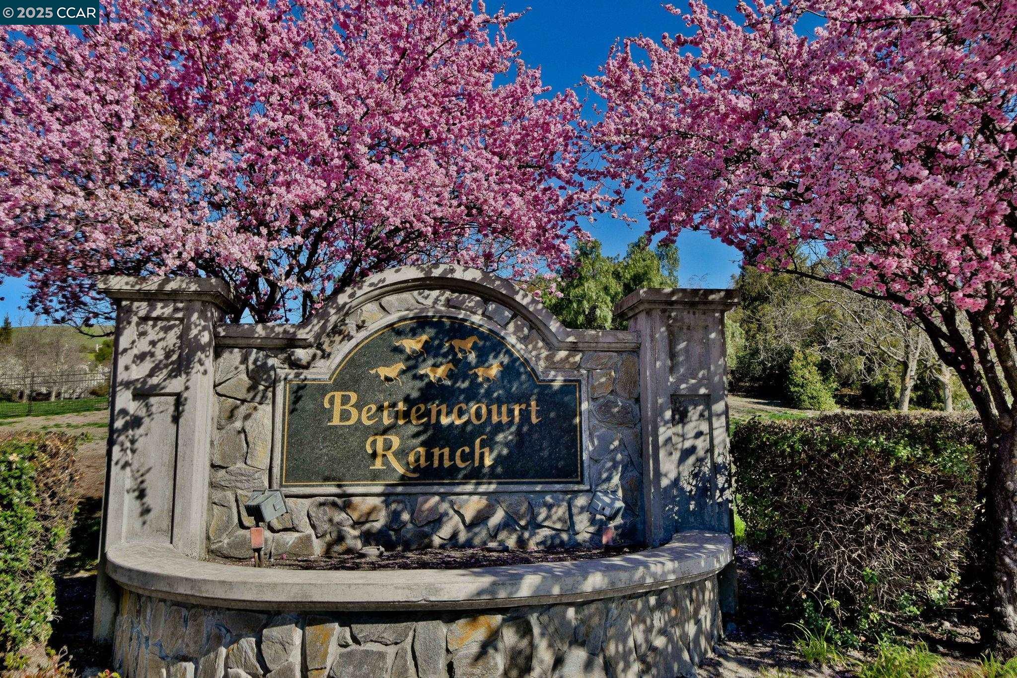 Detail Gallery Image 36 of 42 For 219 Nottingham Pl, Danville,  CA 94506 - 4 Beds | 3 Baths