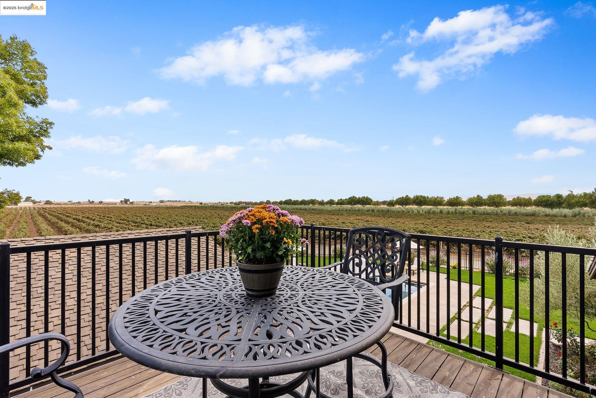 Detail Gallery Image 35 of 60 For 3501 Byer Road, Byron,  CA 94514-1506 - 4 Beds | 4 Baths