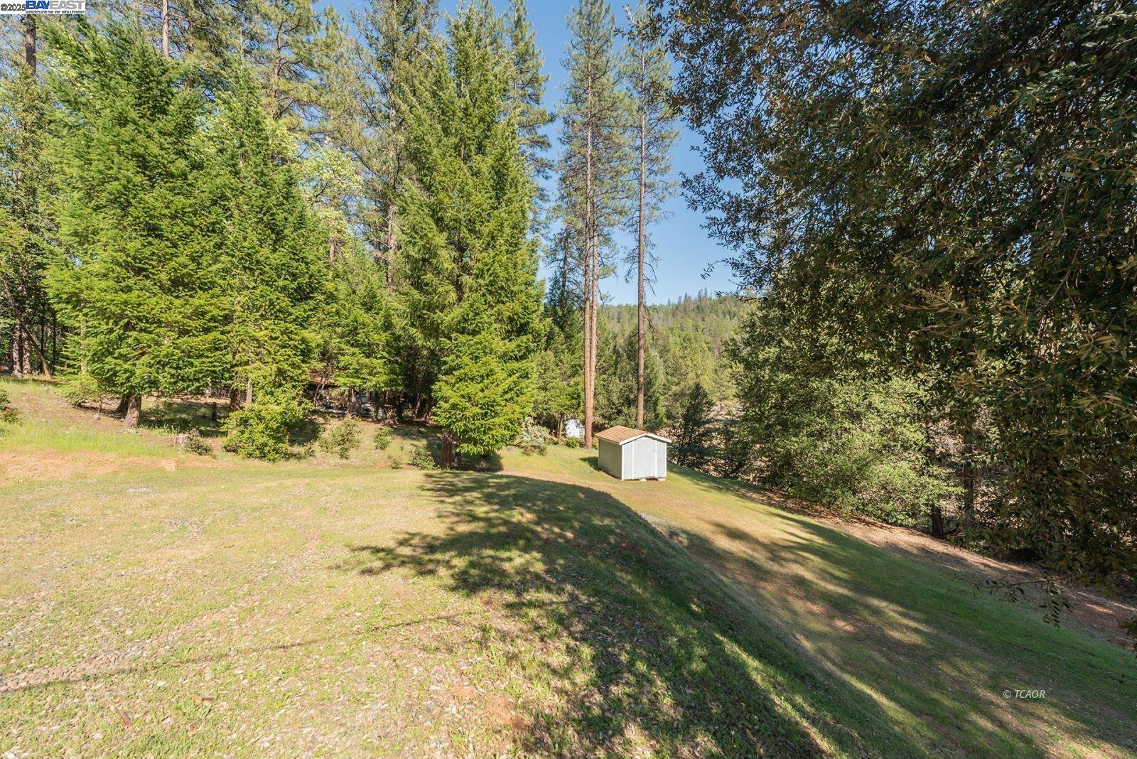Detail Gallery Image 33 of 50 For 430 Bridge Rd, Douglas City,  CA 96024 - 3 Beds | 2 Baths