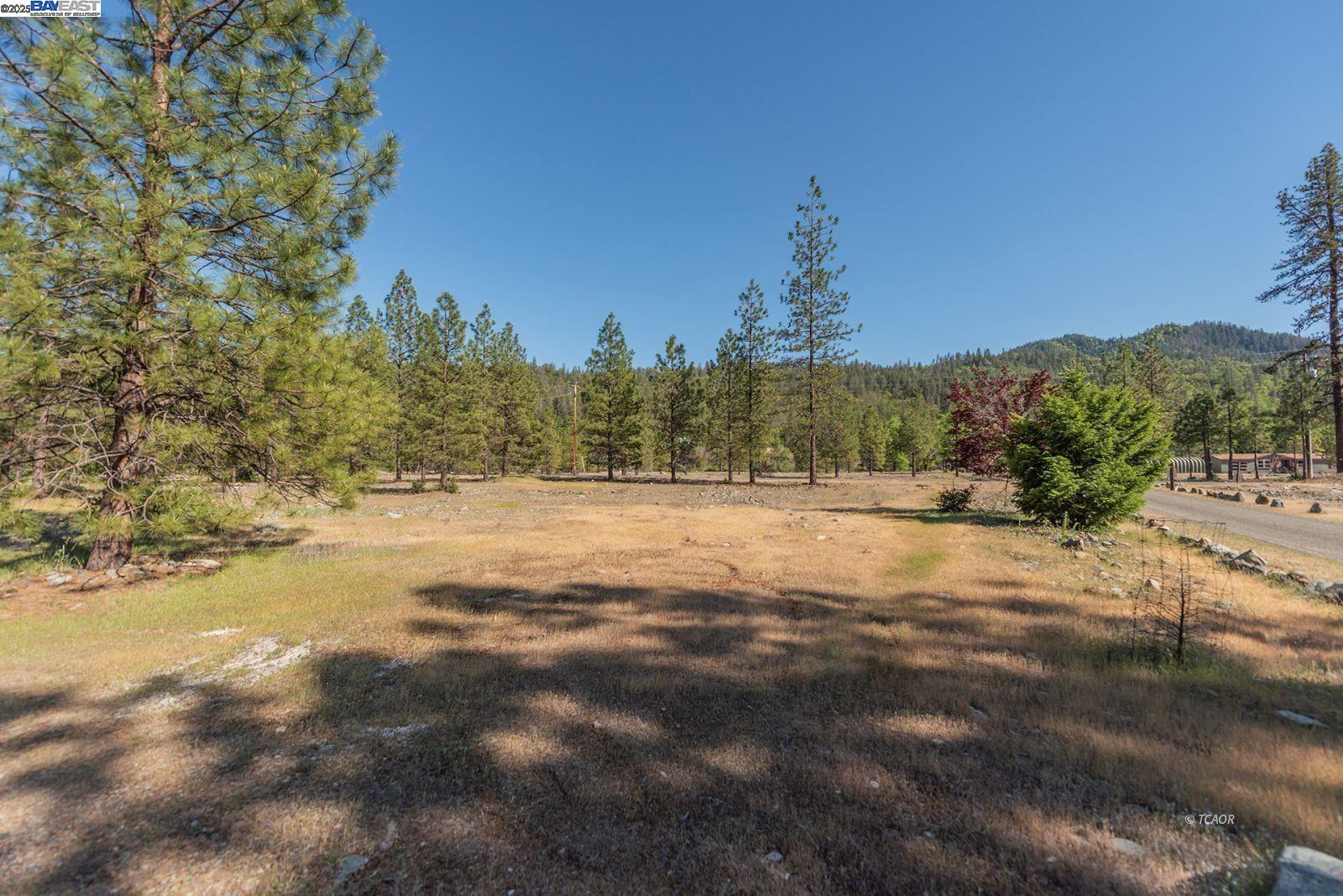 Detail Gallery Image 39 of 50 For 430 Bridge Rd, Douglas City,  CA 96024 - 3 Beds | 2 Baths