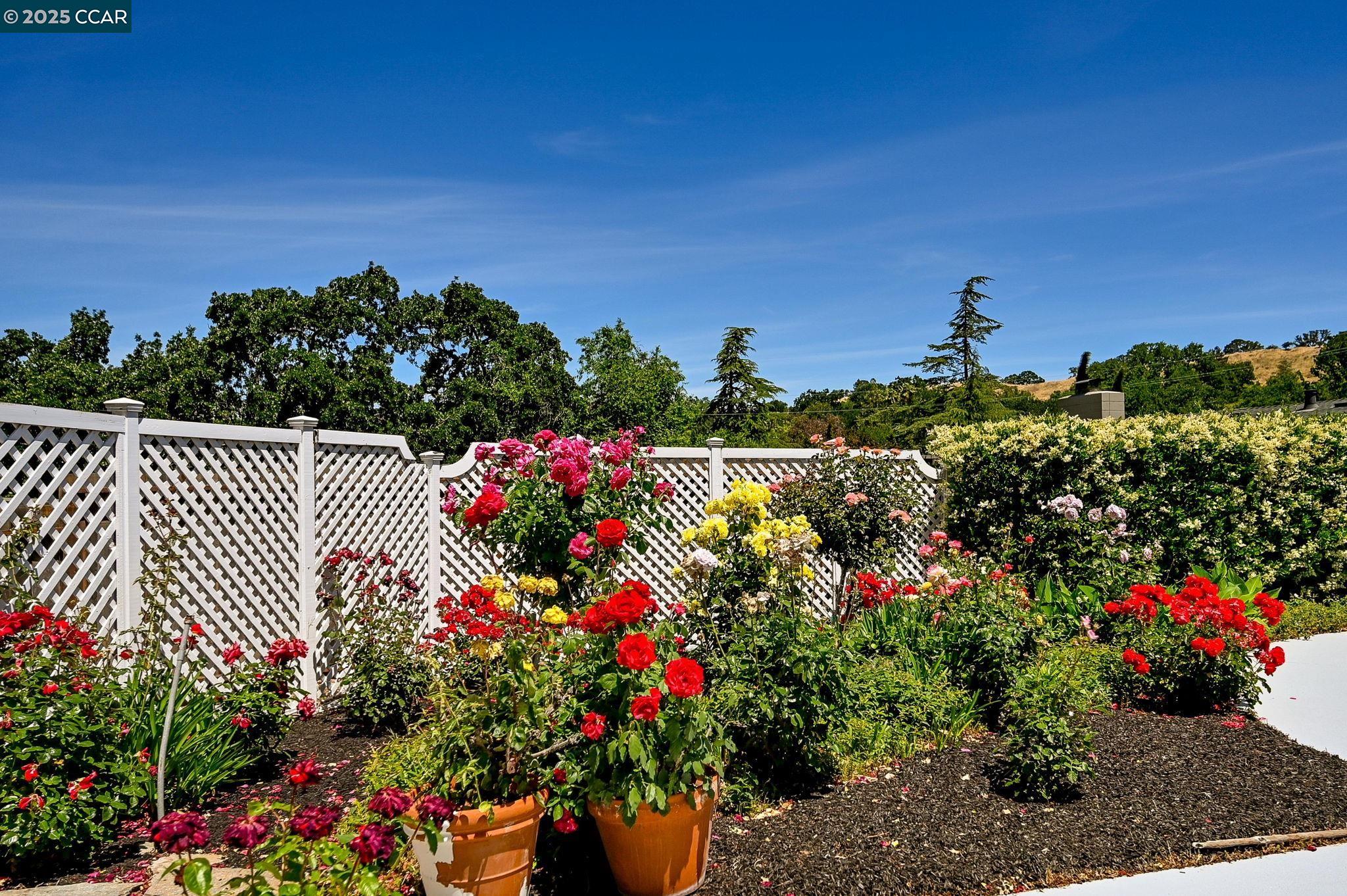 Detail Gallery Image 28 of 33 For 25 Fraser Drive, Walnut Creek,  CA 94596 - 4 Beds | 3 Baths