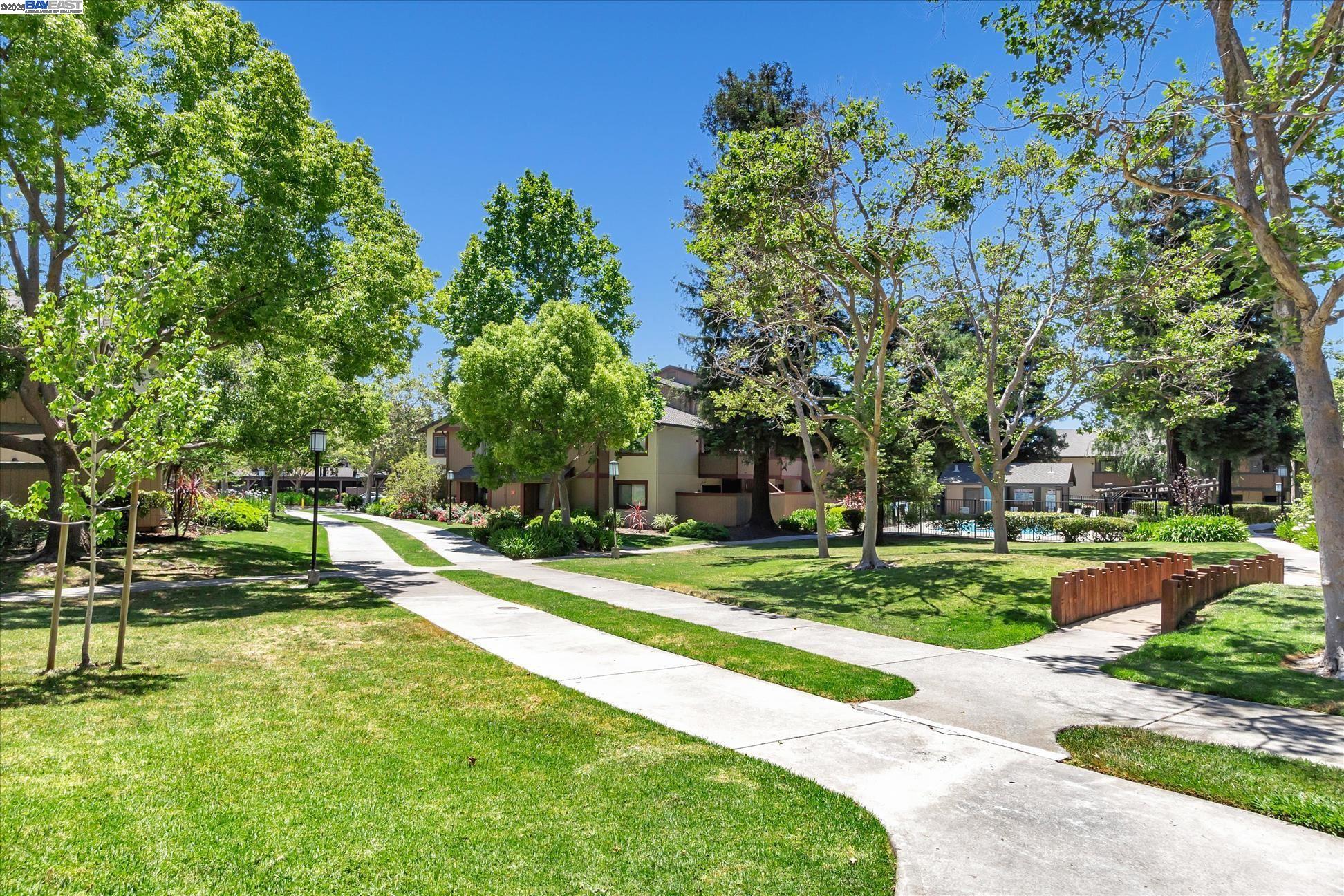 Photo #16: 41097597 Listing: Photo #16