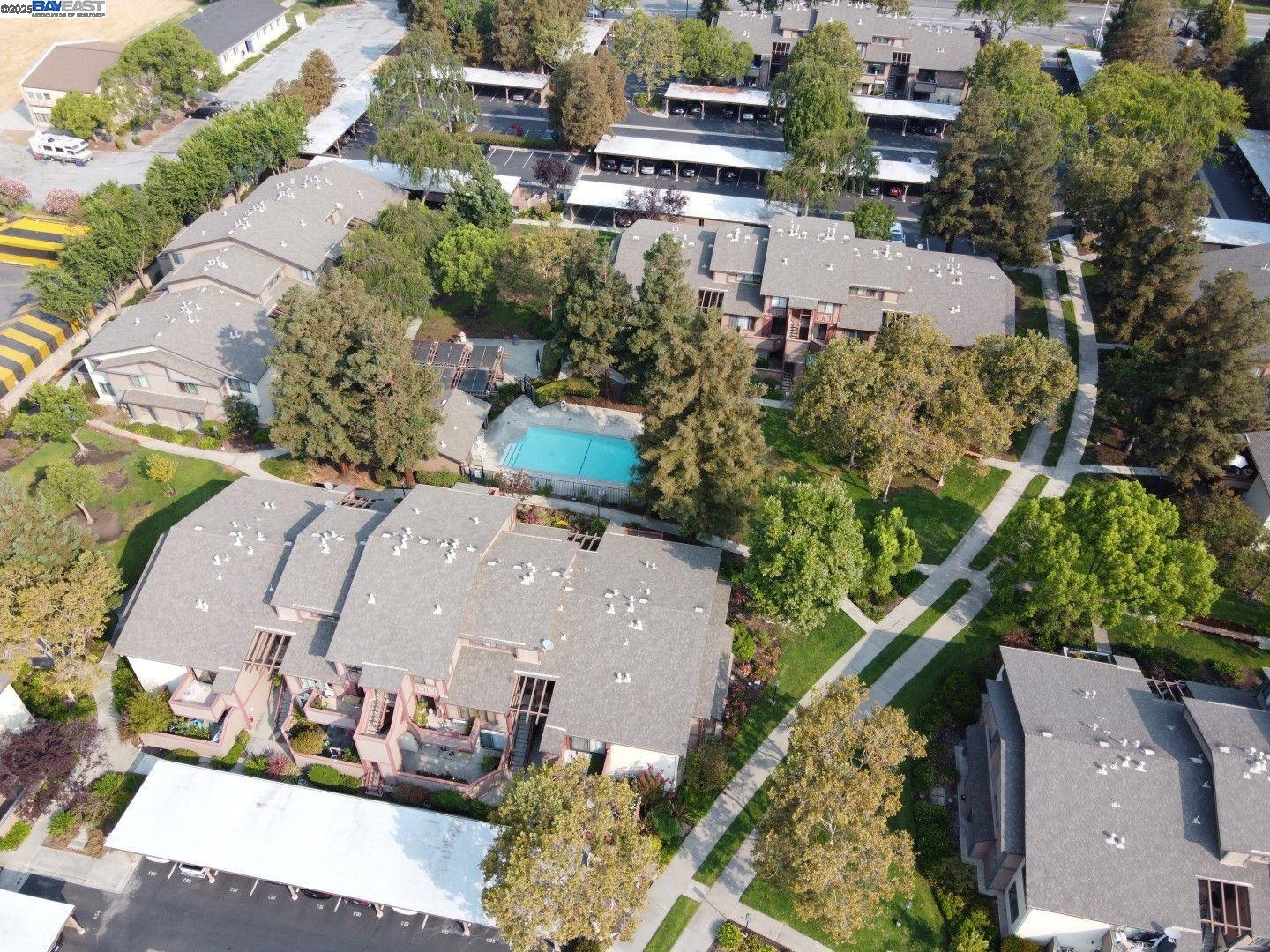 Photo #19: 41097597 Listing: Photo #19