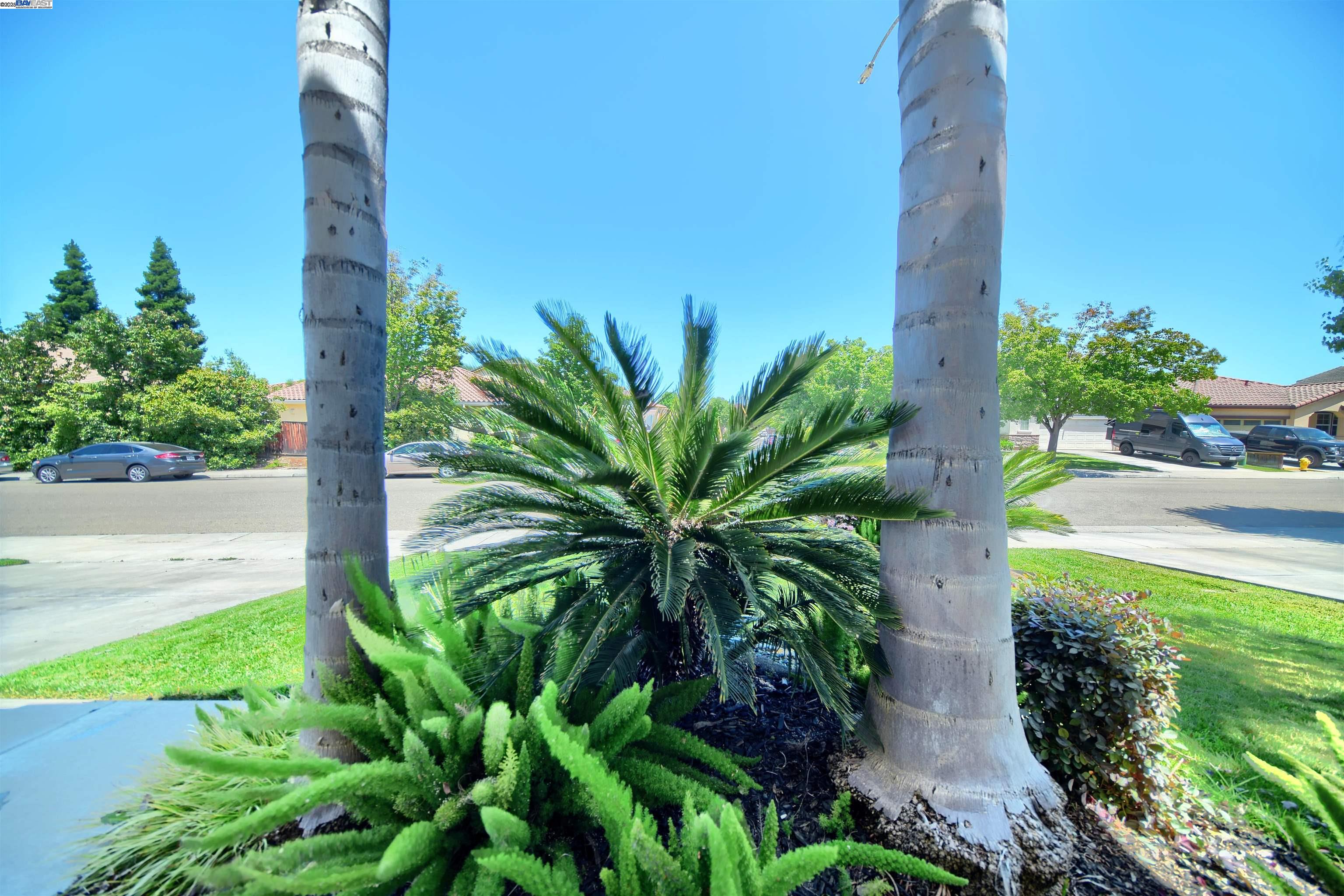 Detail Gallery Image 4 of 46 For 4597 Bonsai Ave, Tracy,  CA 95377 - 4 Beds | 2/1 Baths