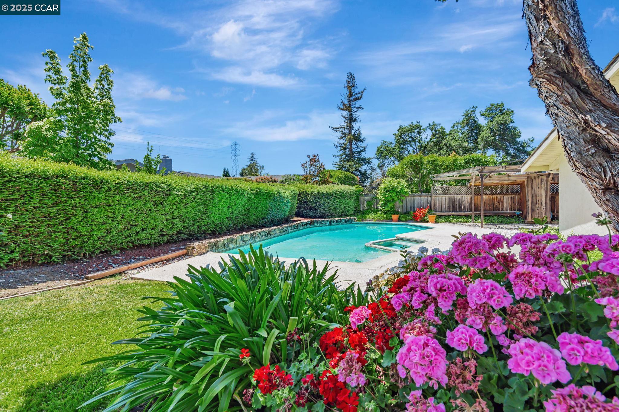 Detail Gallery Image 8 of 43 For 265 Dover Dr, Walnut Creek,  CA 94598 - 4 Beds | 2 Baths