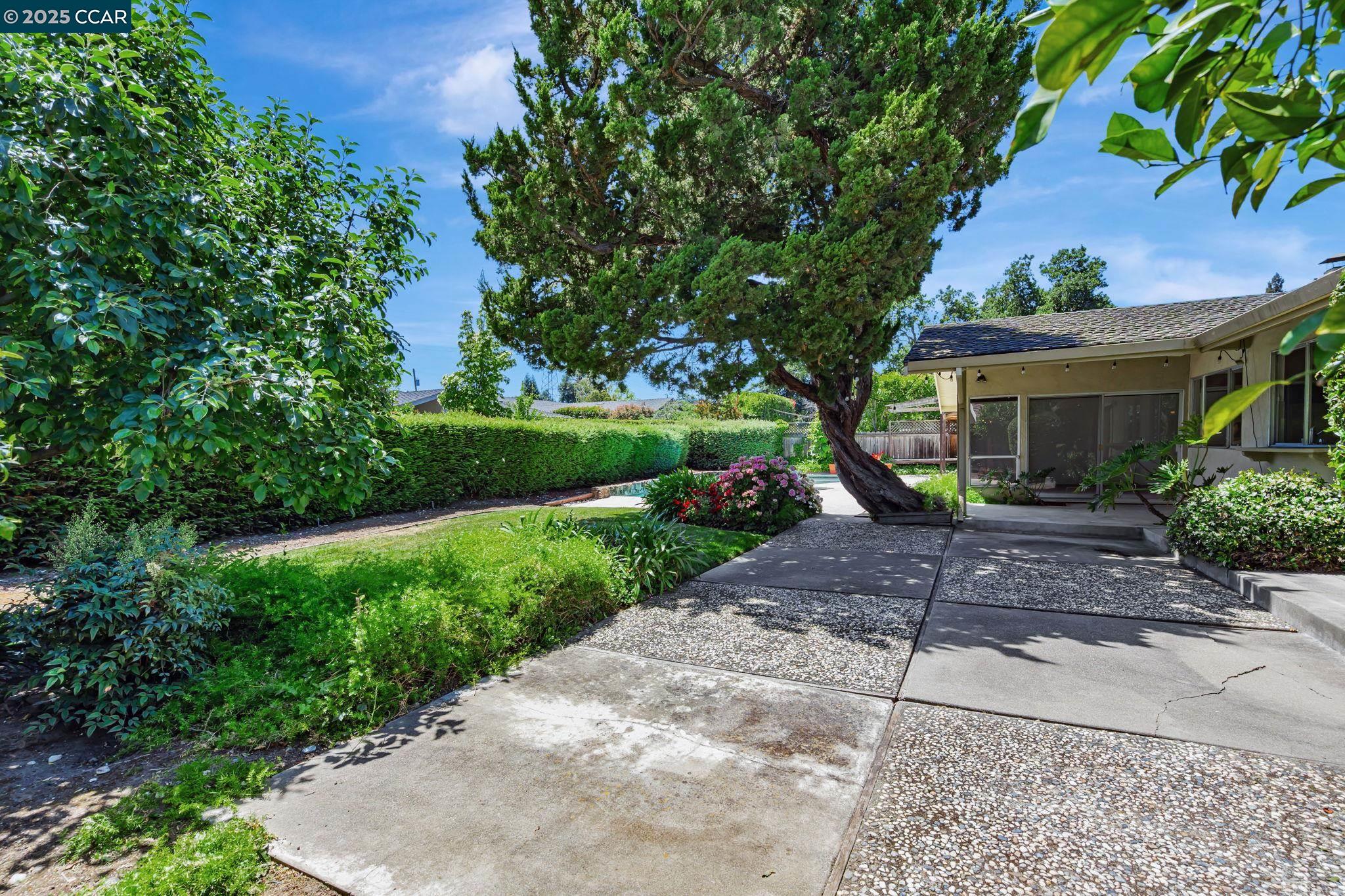 Detail Gallery Image 9 of 43 For 265 Dover Dr, Walnut Creek,  CA 94598 - 4 Beds | 2 Baths