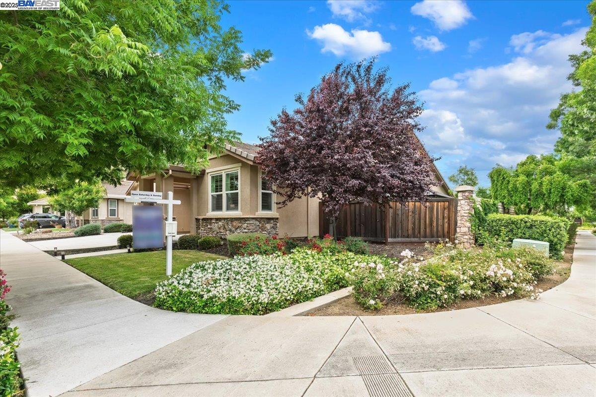 Detail Gallery Image 55 of 55 For 649 Ray Ct, Brentwood,  CA 94513 - 4 Beds | 3 Baths