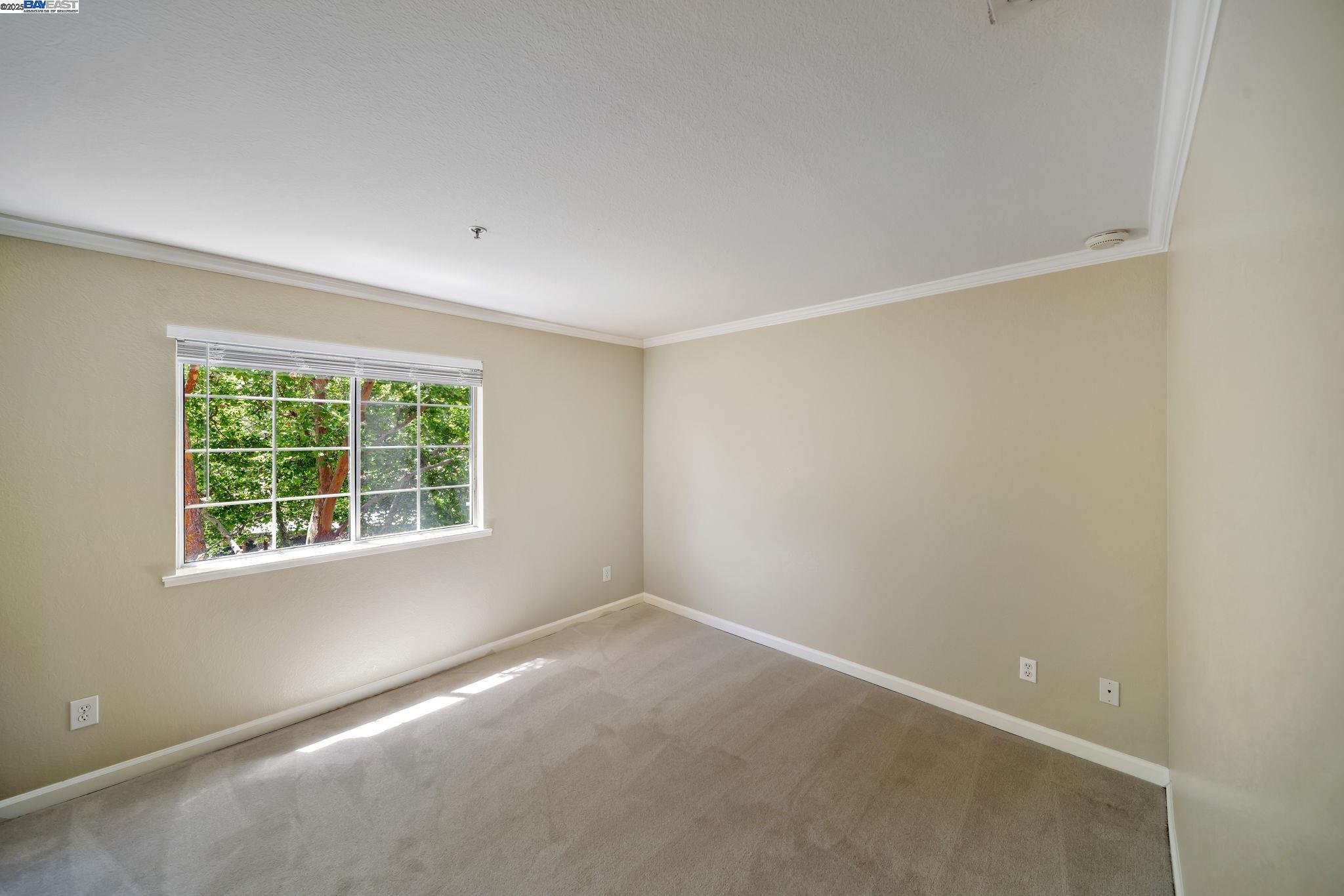 Photo #15: 41097641 Listing: Photo #15