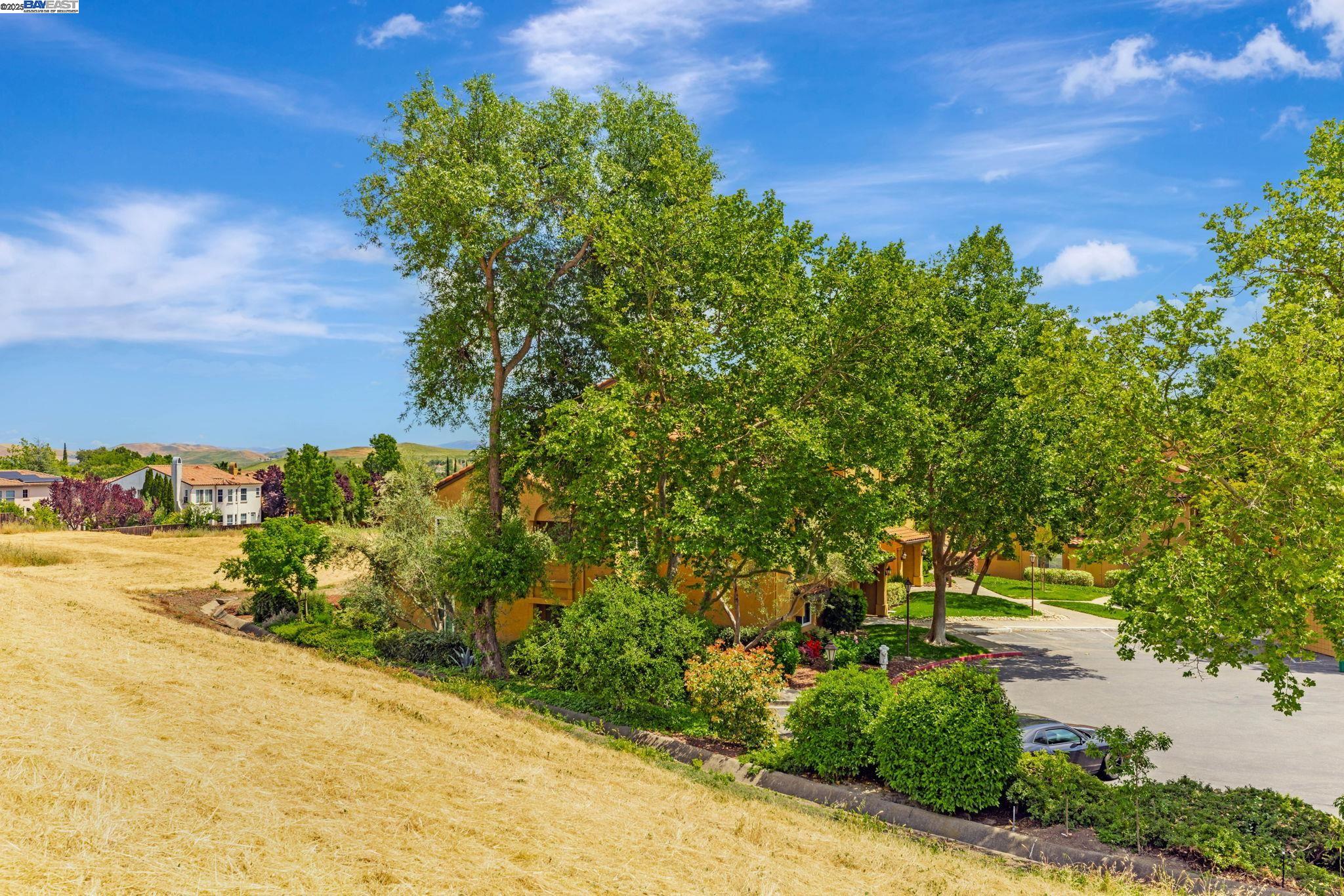 Photo #31: 41097641 Listing: Photo #31