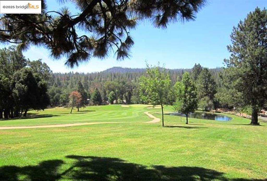 Detail Gallery Image 39 of 41 For 20738 Forestwood, Groveland,  CA 95321-9324 - 3 Beds | 3 Baths