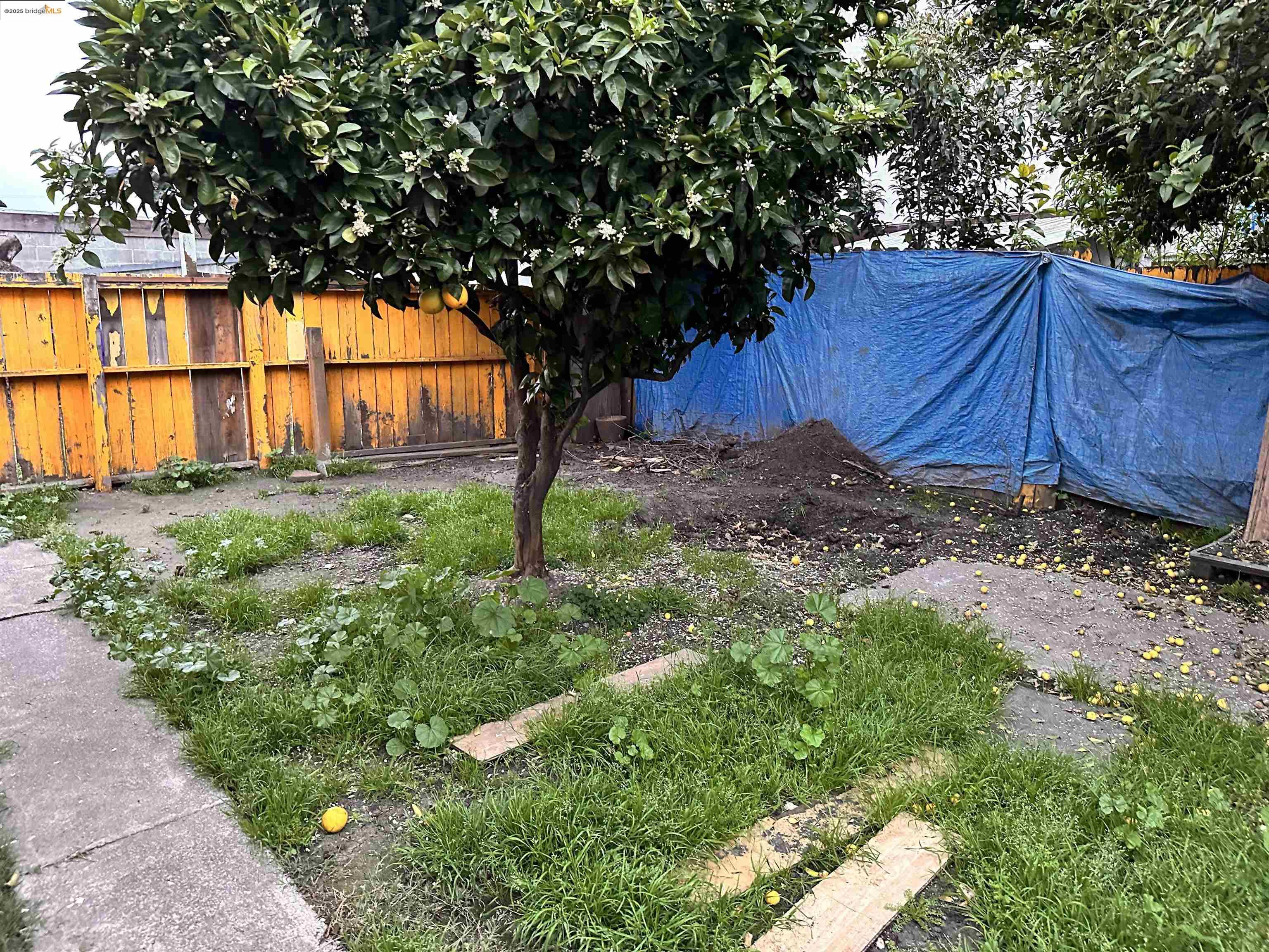 Detail Gallery Image 8 of 25 For 1342 Garvin Ave, Richmond,  CA 94801 - – Beds | – Baths