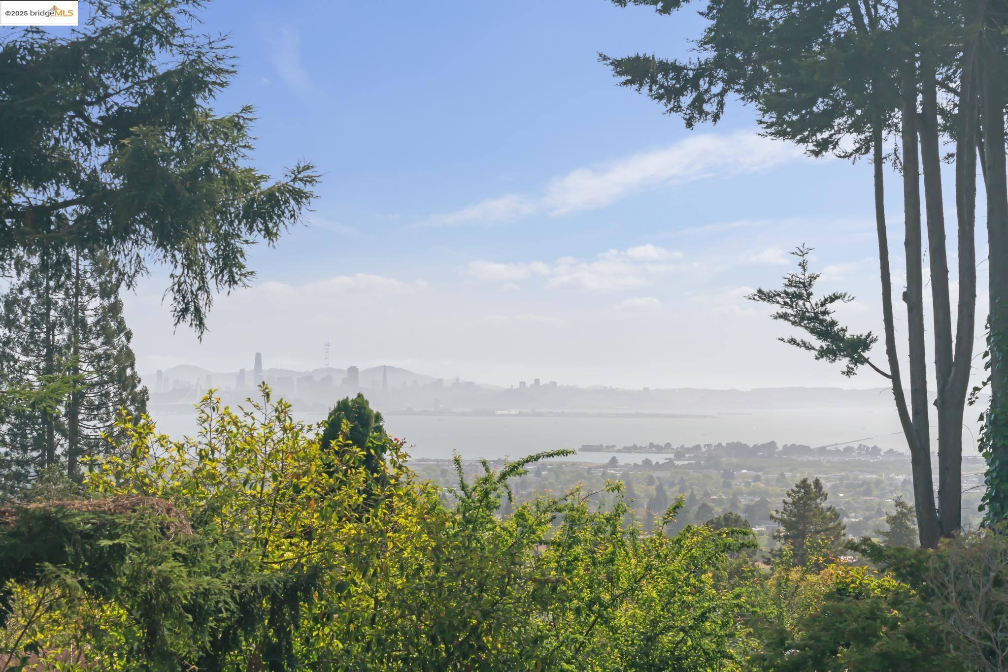 Detail Gallery Image 33 of 60 For 1150 Arch St, Berkeley,  CA 94708 - 5 Beds | 4/1 Baths