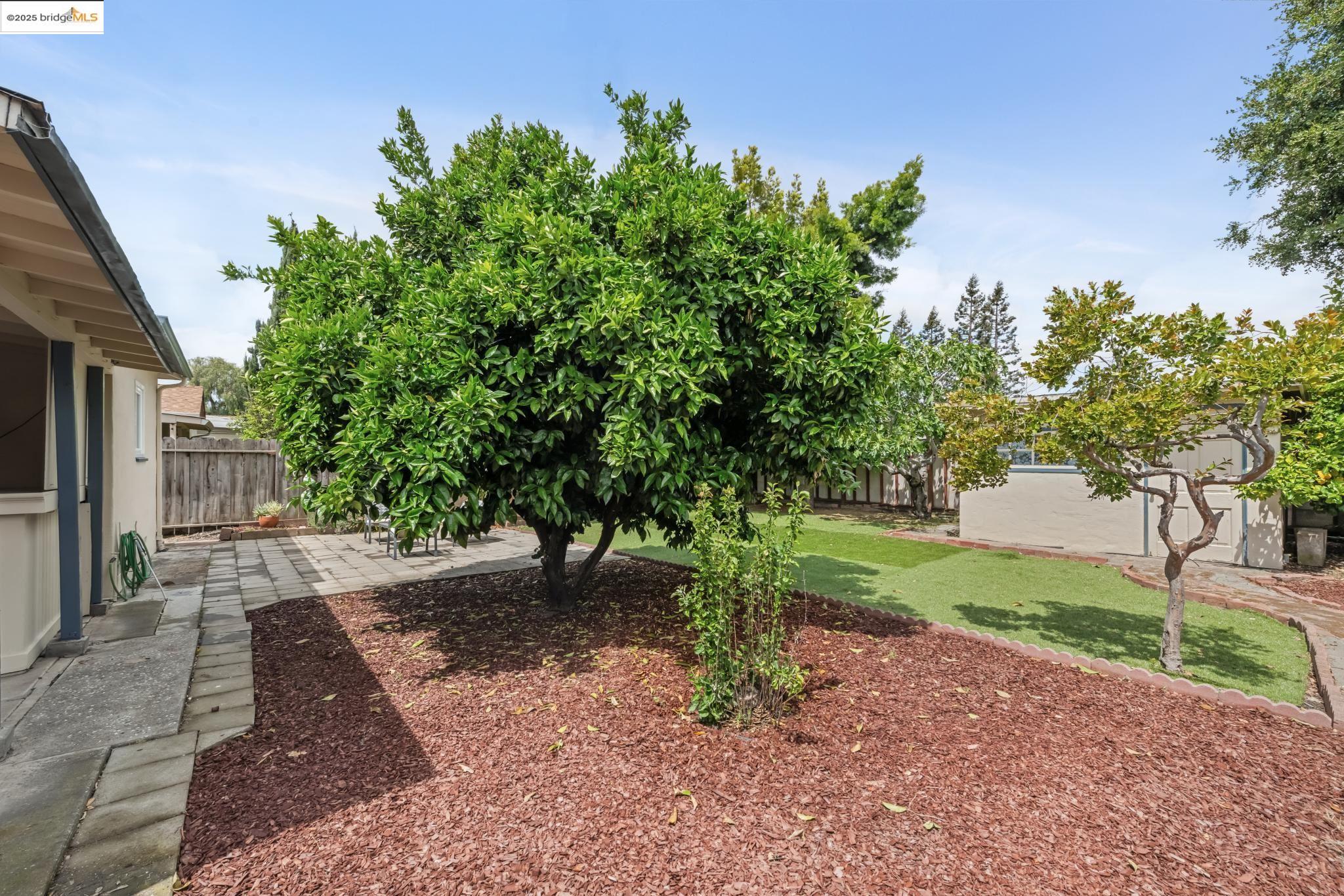 Detail Gallery Image 32 of 34 For 562 Culp Ave, Hayward,  CA 94544 - 3 Beds | 1 Baths