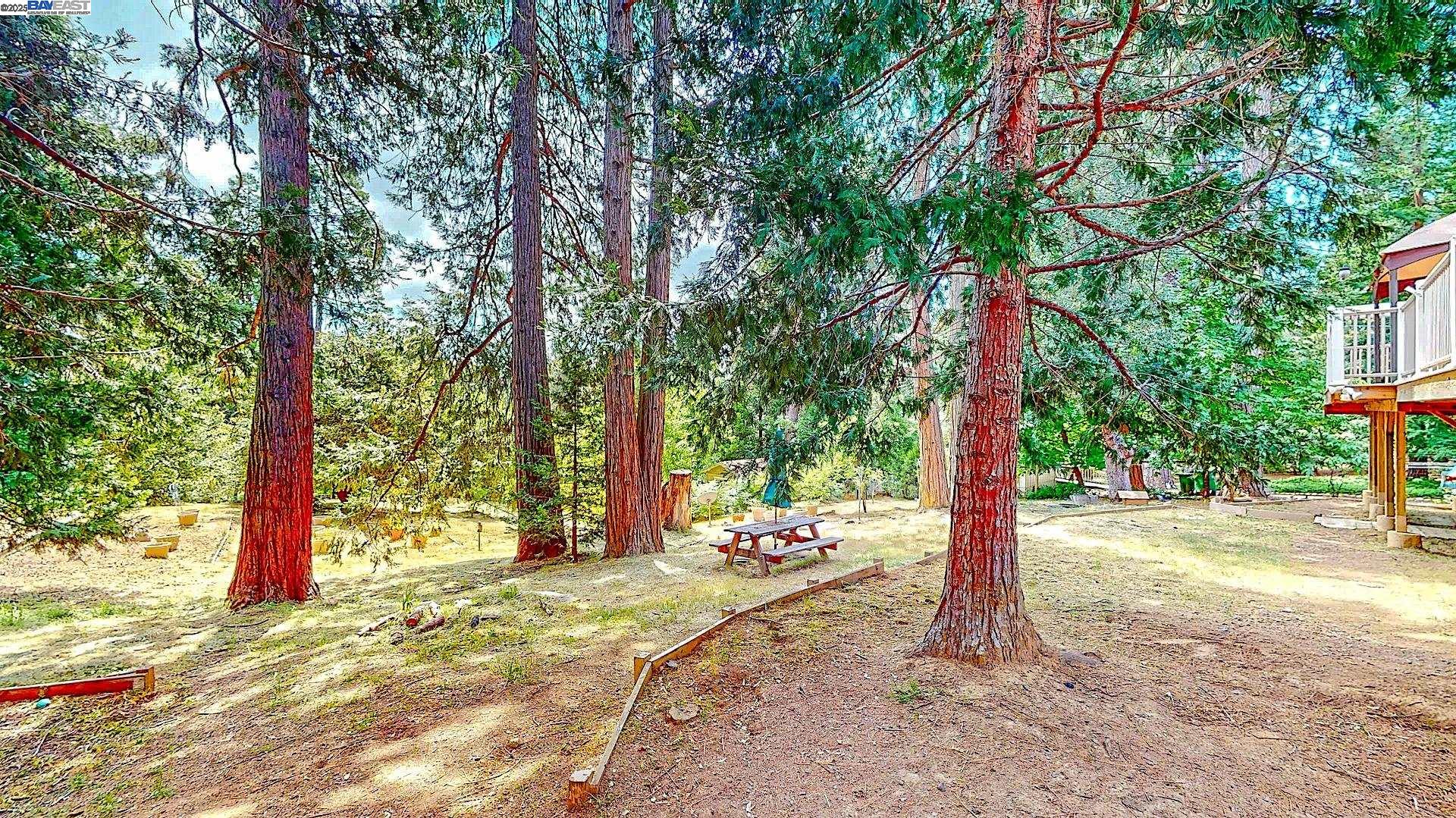 Detail Gallery Image 50 of 60 For 23357 Middle Camp Rd, Twain Harte,  CA 95383 - 3 Beds | 3 Baths