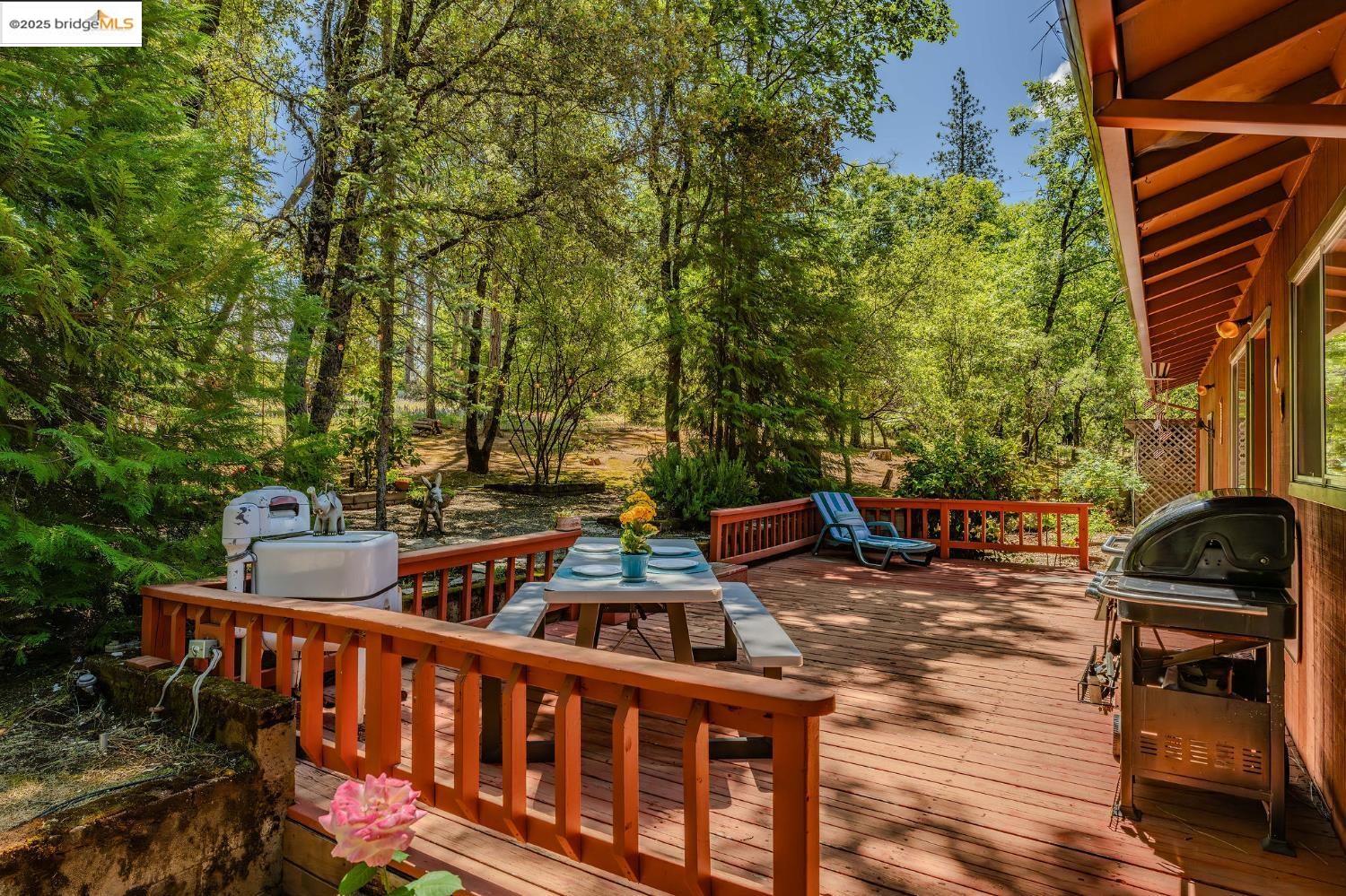 Detail Gallery Image 13 of 42 For 20 Rhoda Niderost Ln 1, West Point,  CA 95255 - 3 Beds | 2 Baths