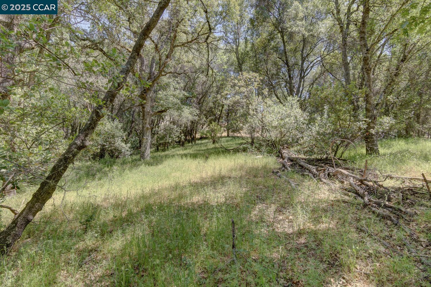 Detail Gallery Image 9 of 23 For 3390 Morel Way, Placerville,  CA 95667 - – Beds | – Baths