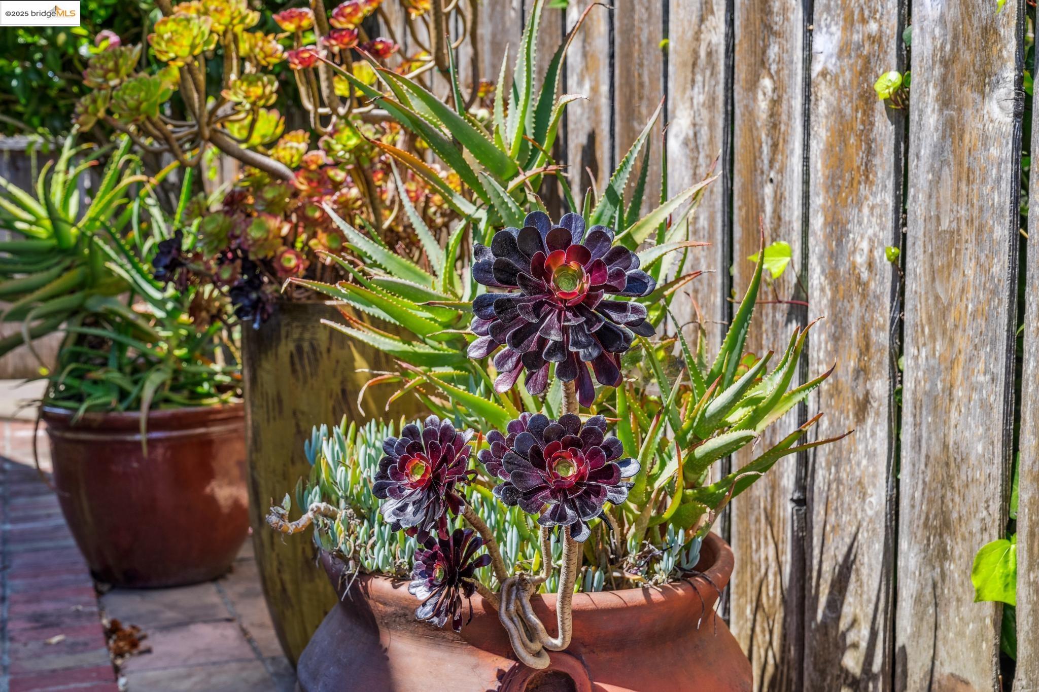 Detail Gallery Image 55 of 58 For 267 Columbia Ave, Kensington,  CA 94708 - 2 Beds | 2/2 Baths
