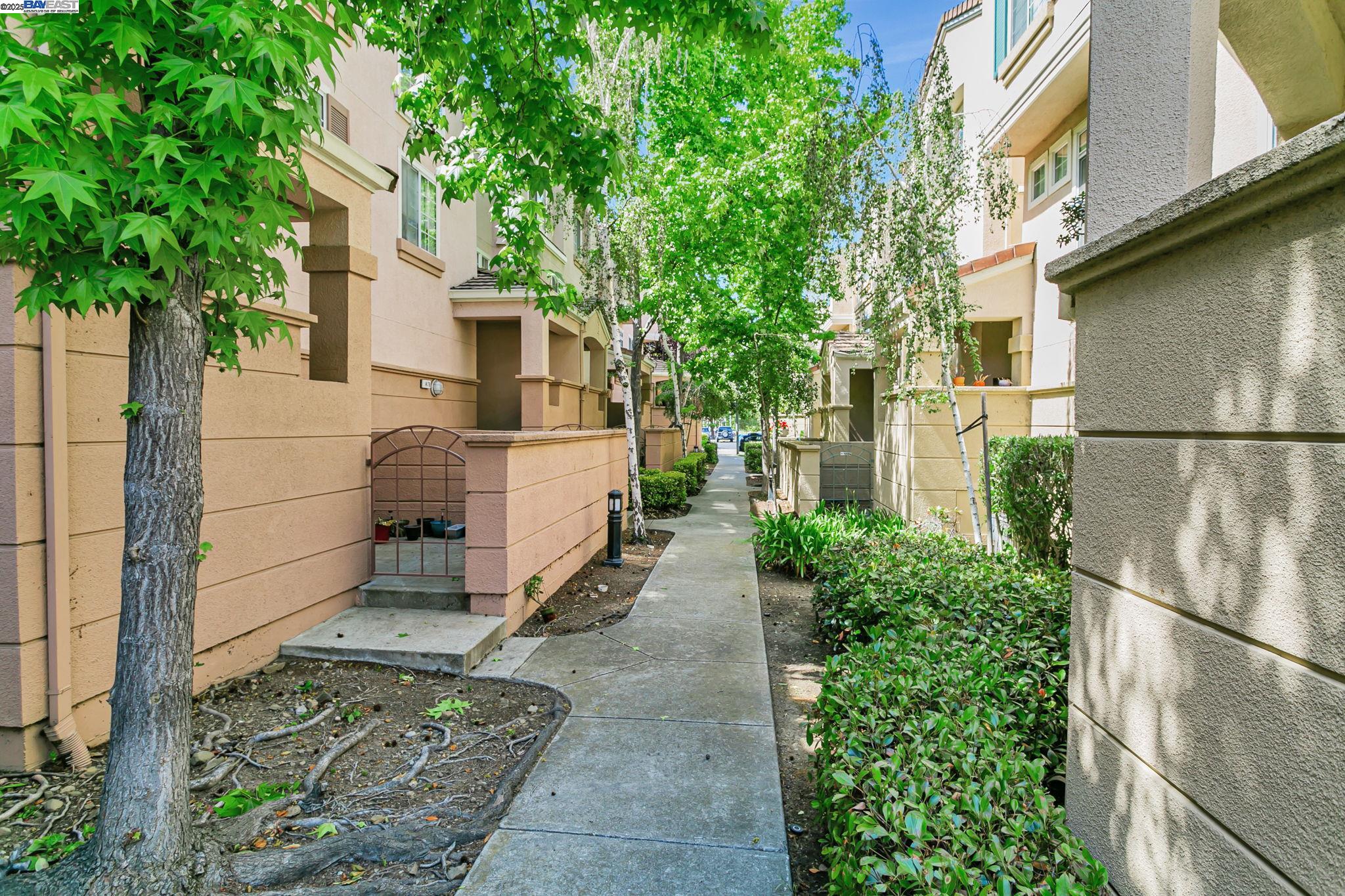 Detail Gallery Image 1 of 37 For 1478 Los Buellis Way, Milpitas,  CA 95035 - 2 Beds | 2/1 Baths