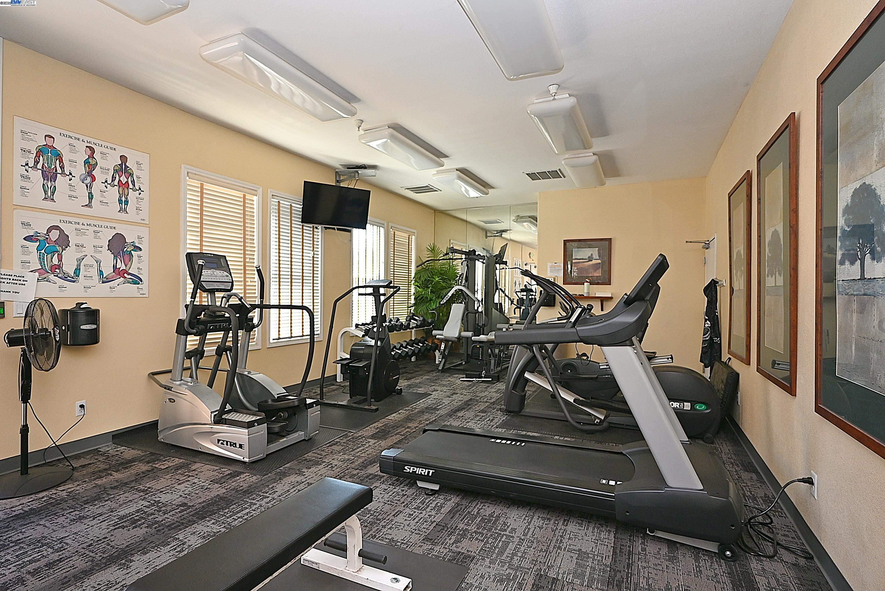 Photo #31: 41097853 Listing: Photo #31