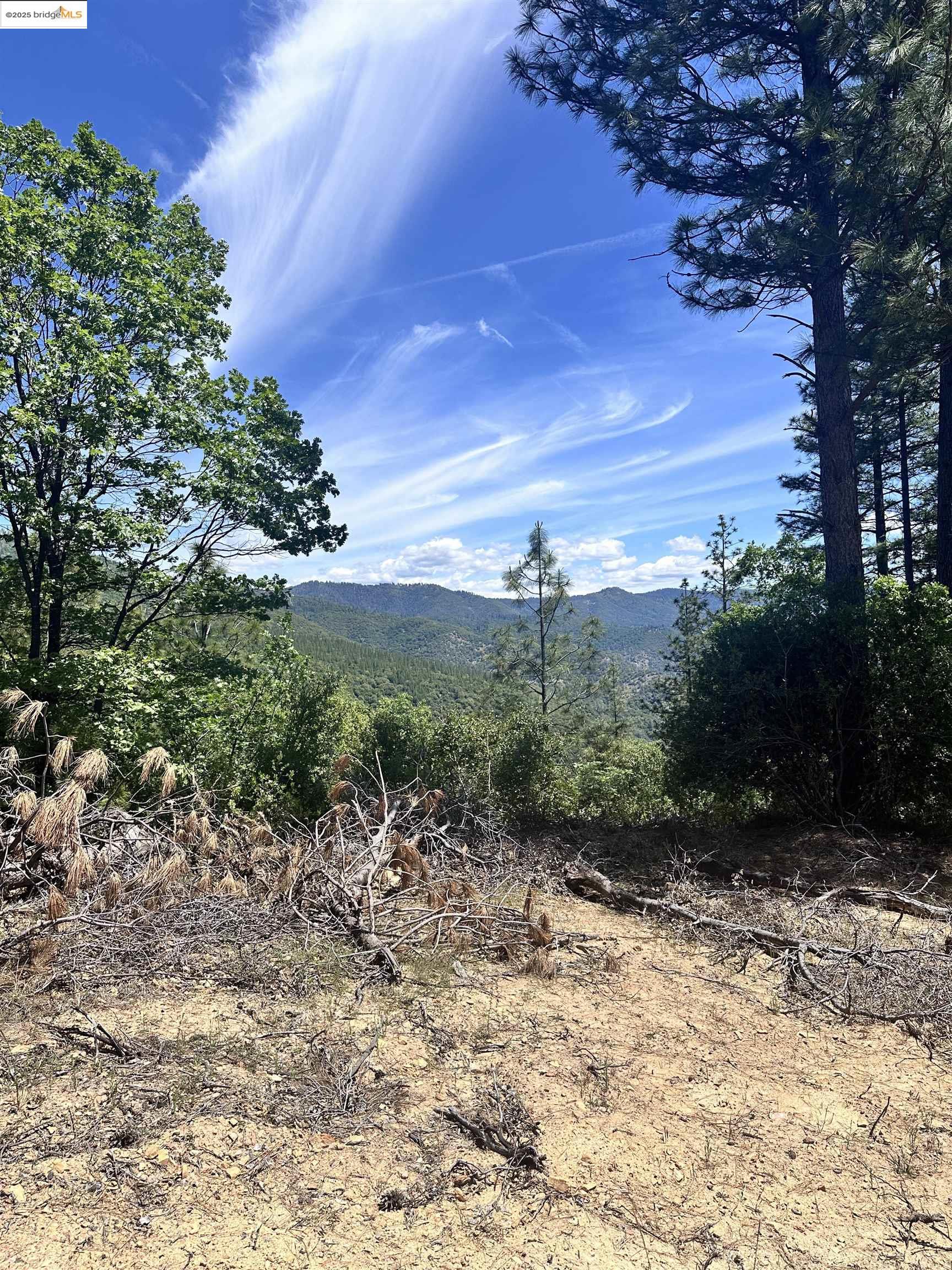 Detail Gallery Image 5 of 10 For 00000 Old Buchanan Mine Road, Sonora,  CA 95379 - – Beds | – Baths