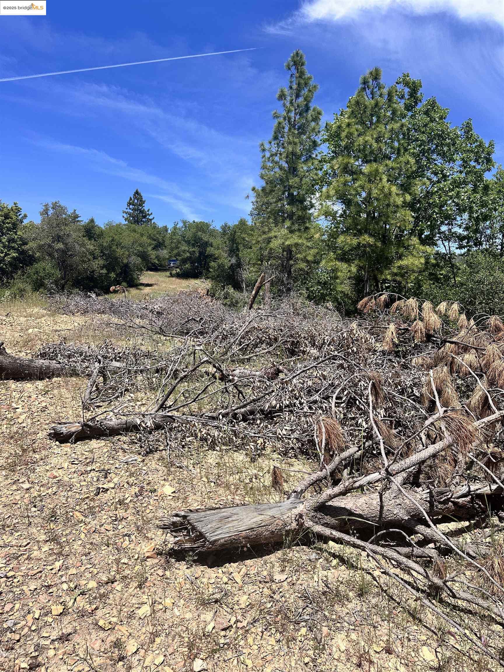 Detail Gallery Image 6 of 10 For 00000 Old Buchanan Mine Road, Sonora,  CA 95379 - – Beds | – Baths