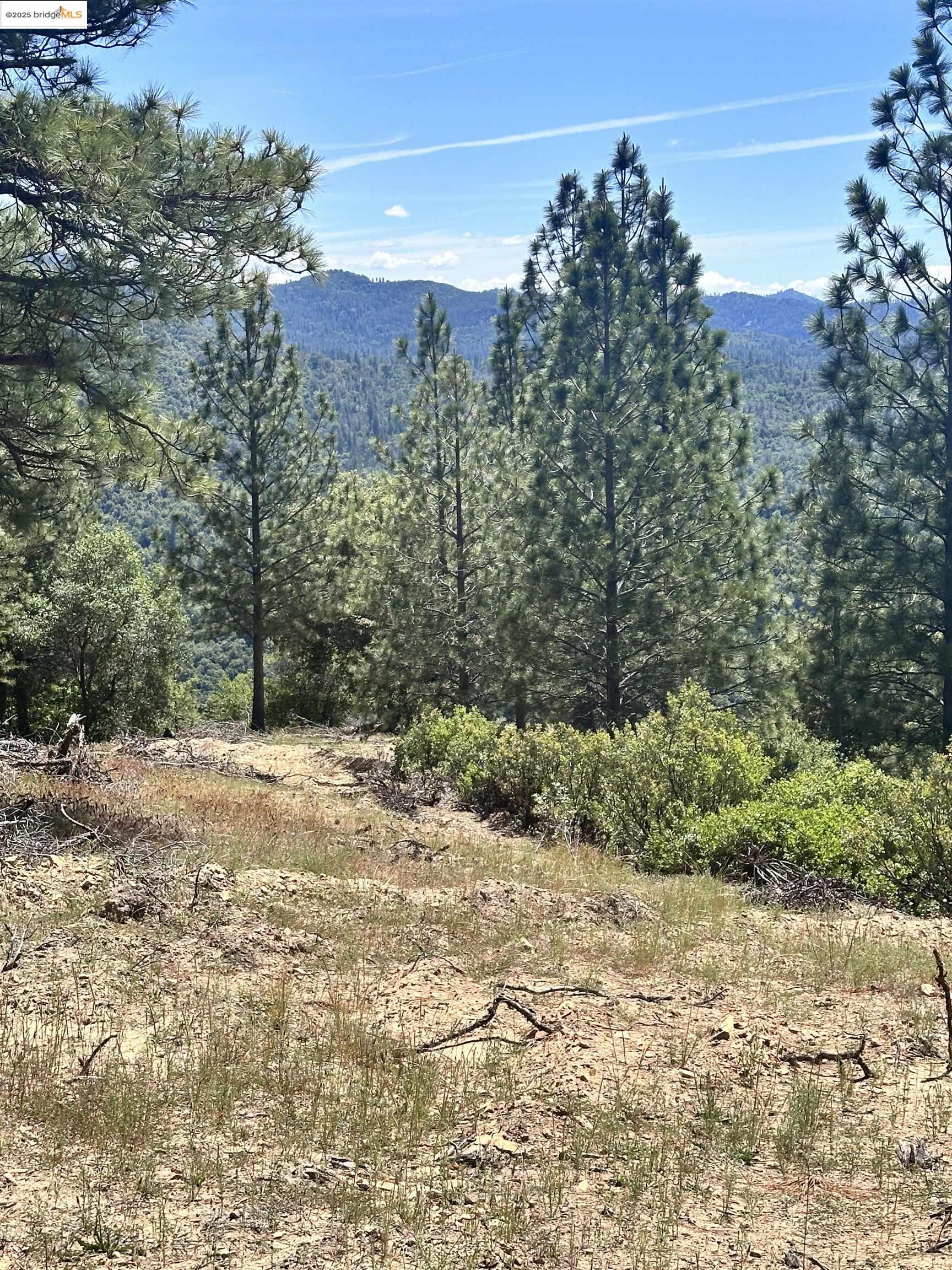 Detail Gallery Image 7 of 10 For 00000 Old Buchanan Mine Road, Sonora,  CA 95379 - – Beds | – Baths